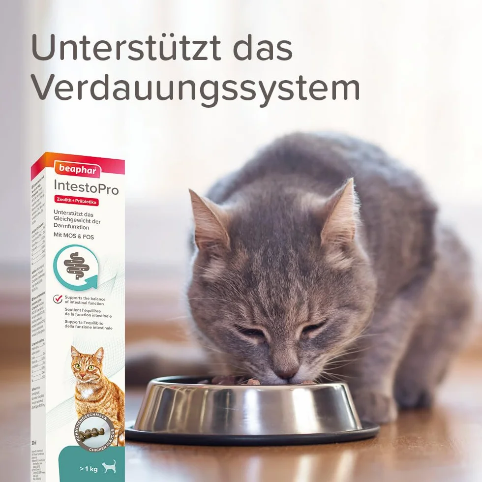 BEAPHAR Pâte IntestoPro pour Chats avec zéolite MOS & FOS 20 ML