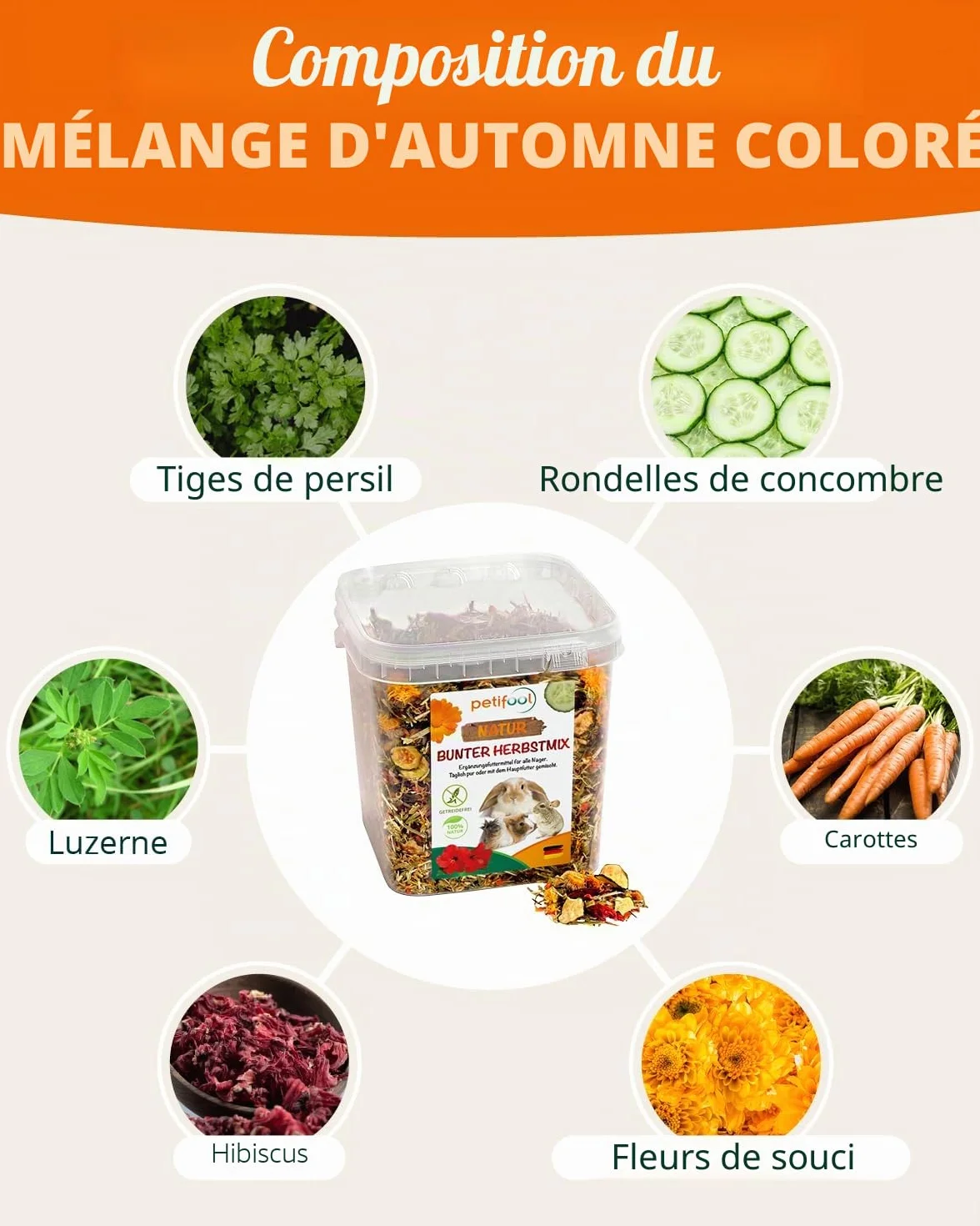 Petifool Aliments complémentaires pour rongeurs Mélange d'automne coloré 650 g