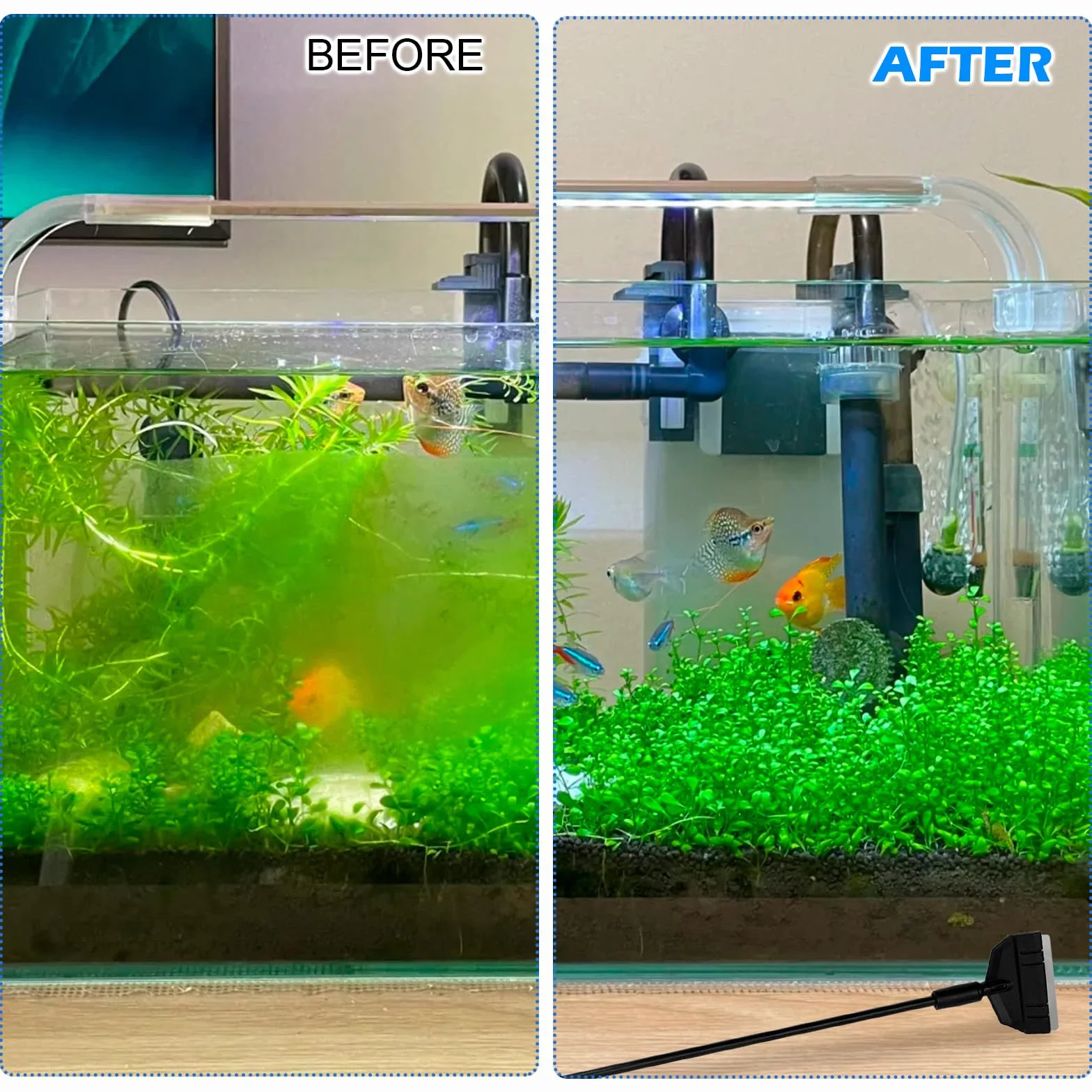 Kit de Nettoyage Aquarium 3-en-1 36 cm, Nettoyeur de Vitres avec Grattoir à Algues, Brosse Triangulaire et d’Angle pour Nano Aquariums