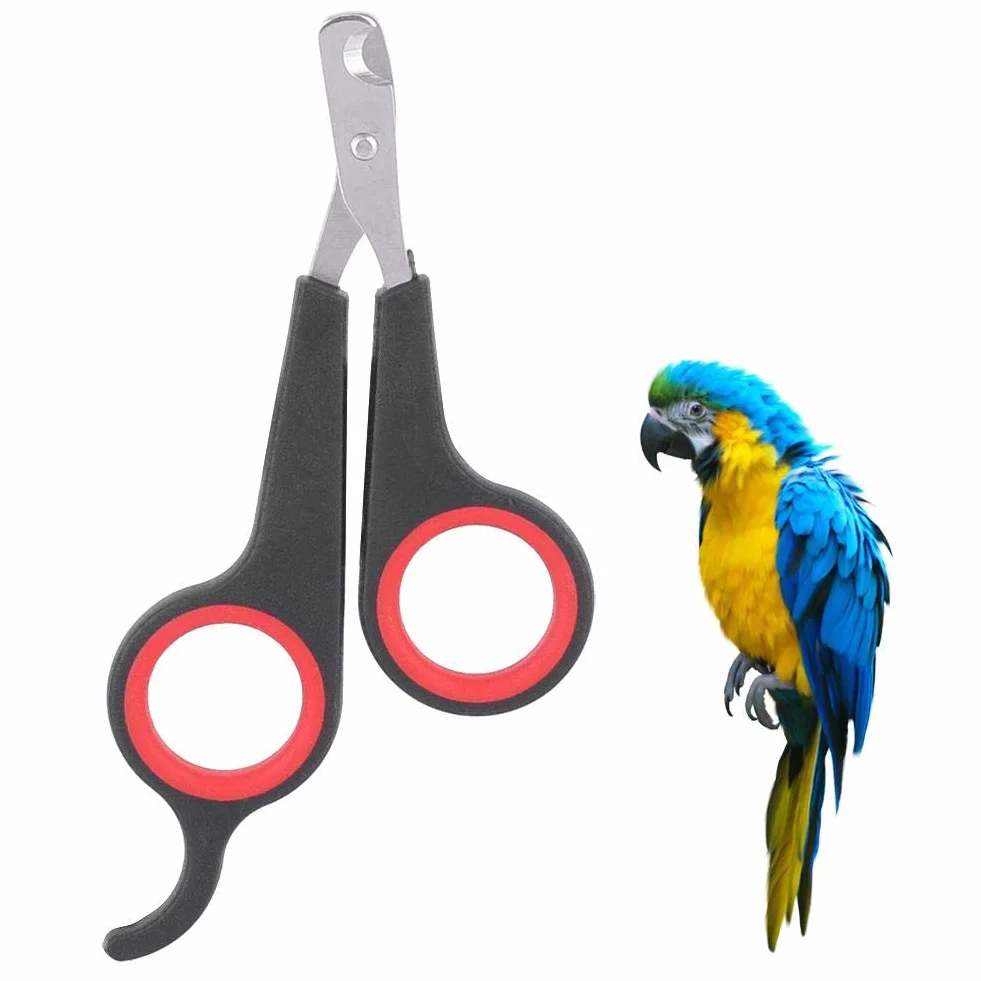 GOTOTOP Coupe-ongles pour animaux de compagnie petits animaux oiseaux perroquets chatons lapins outil de toilettage