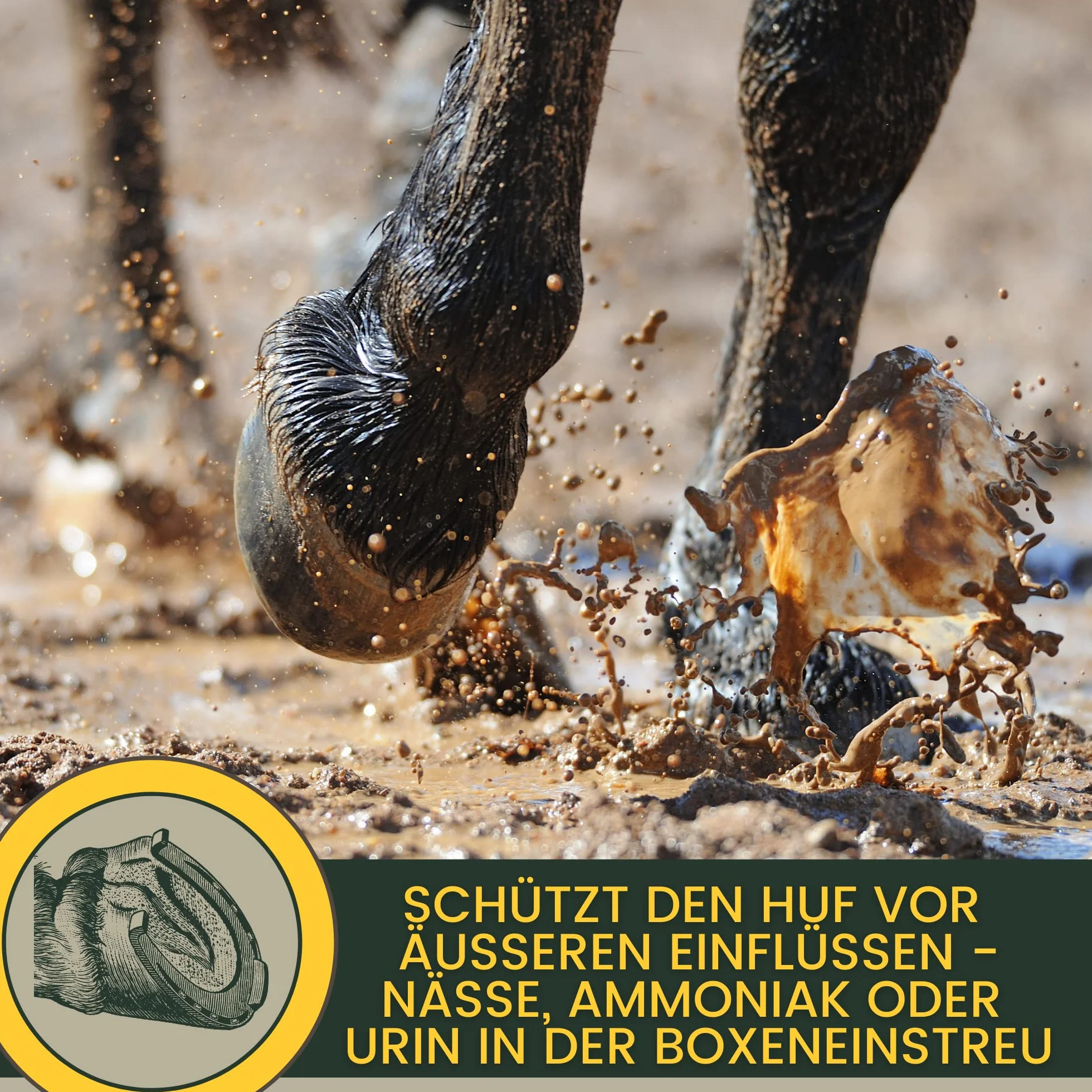 Soin de la fourchette pour chevaux I Protection de la fourchette Soin du sabot I Sabot, fourchette, semelle I Gel de fourchette I Prévention de la pourriture de la fourchette I contre l'humidité 100ml