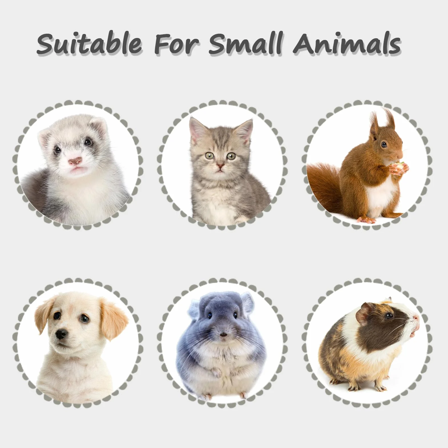 LOS ANDES Gourde pour Hamster 500 ML Pas de Fuite d'eau pour Petits Animaux