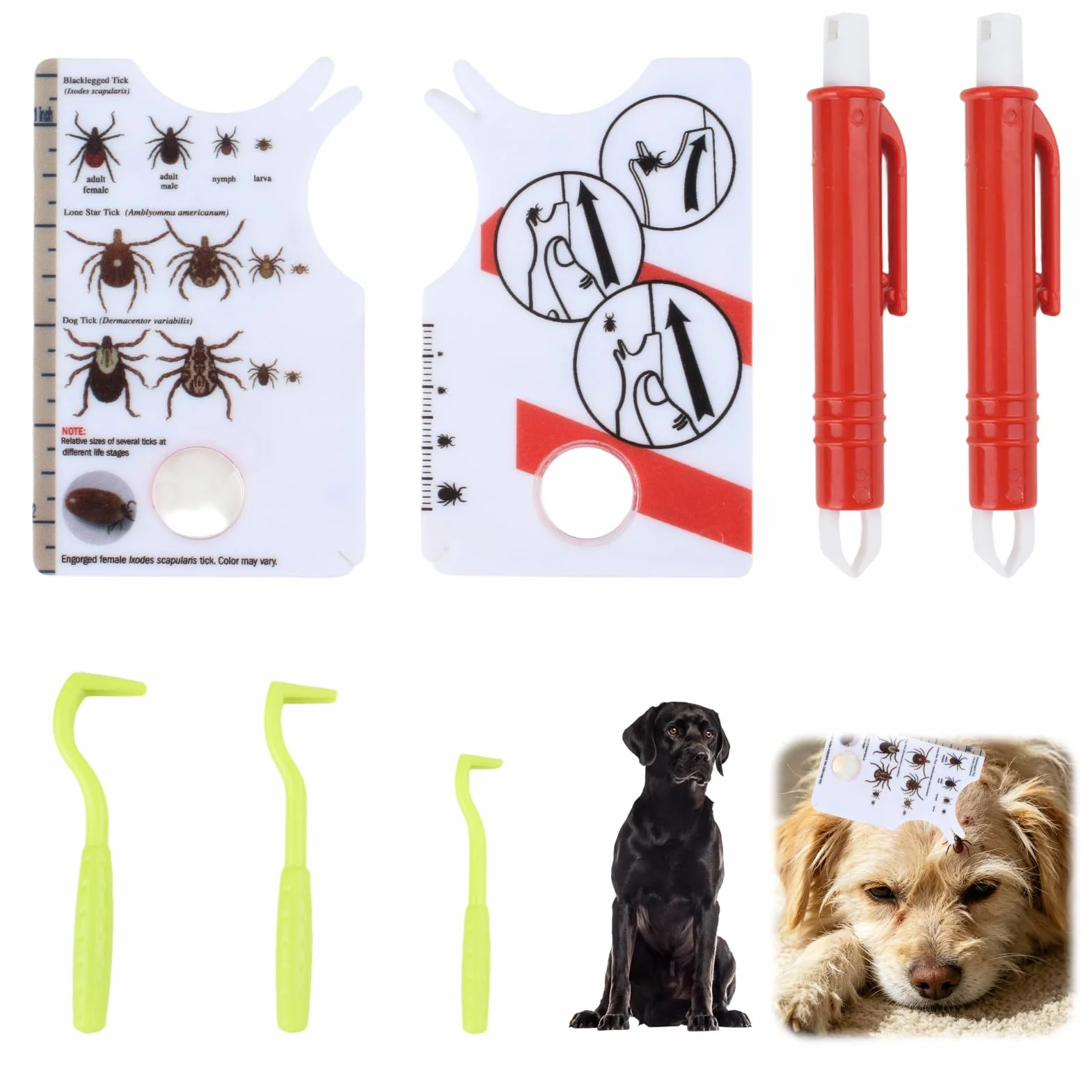 Lot de 7 Carte De Retrait De Tiques - Tire-Tique avec Loupe, Nettoyage Rapide des Tiques - pour Humains, Chiens, Chats