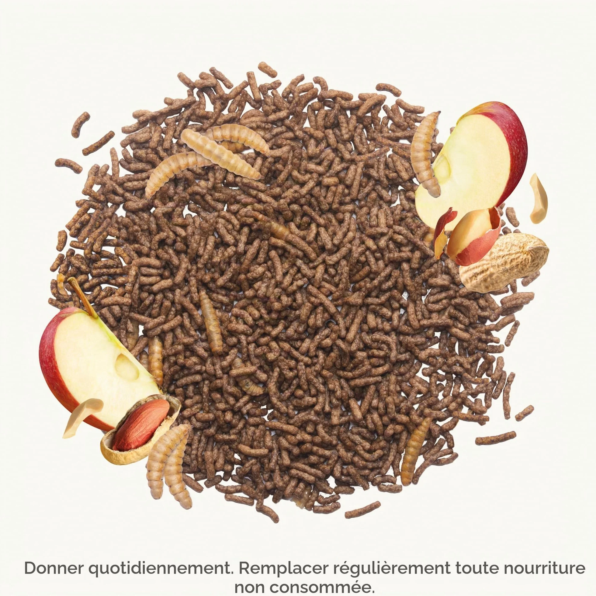 BEAPHAR Aliment pour Hérissons 1 kg Haute teneur en protéines Aux Insectes Mouche Soldat Noire