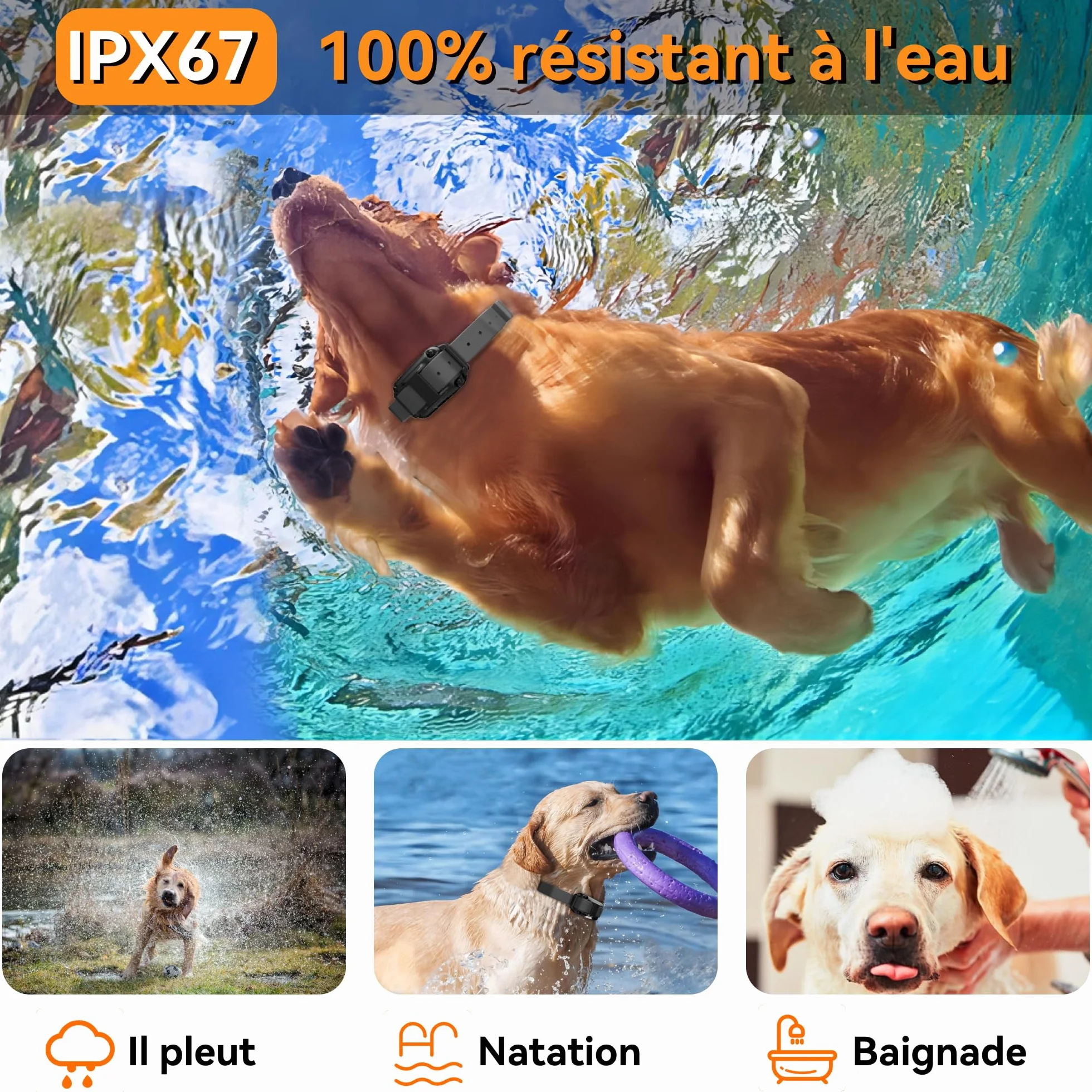 Meloive Collier de Dressage pour Chiens Rechargeable,Portée de 3000m,avec Mode Vibration,Son,Choc Statique et Lumière,IPX67 Résistant à L’Eau,Adapté Aux Chiens de Petites et Moyennes Tailles,Noir