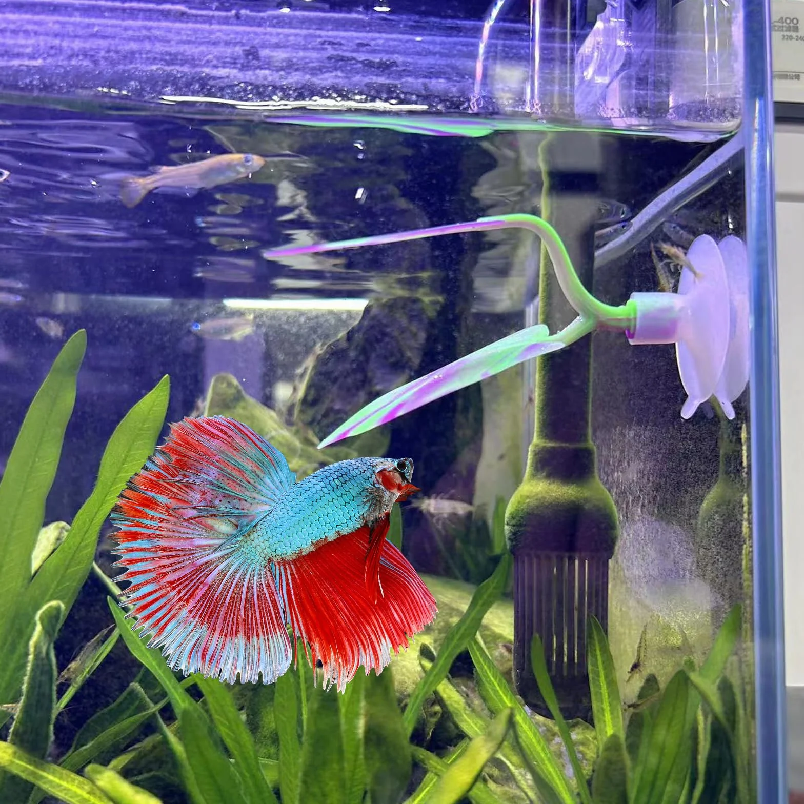 SLSON Betta Hamac Feuille de Lit Tapis de Repos Aquarium Decoration Plantes Silicone Ventouse Forte
