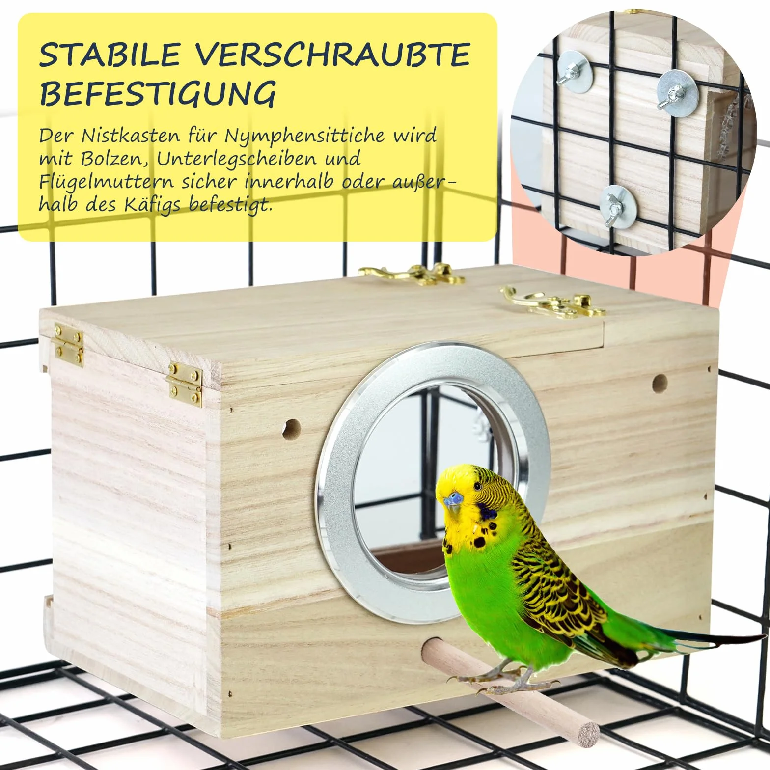 Nichoir transparent perruche perchoir bois fenêtre visualisation