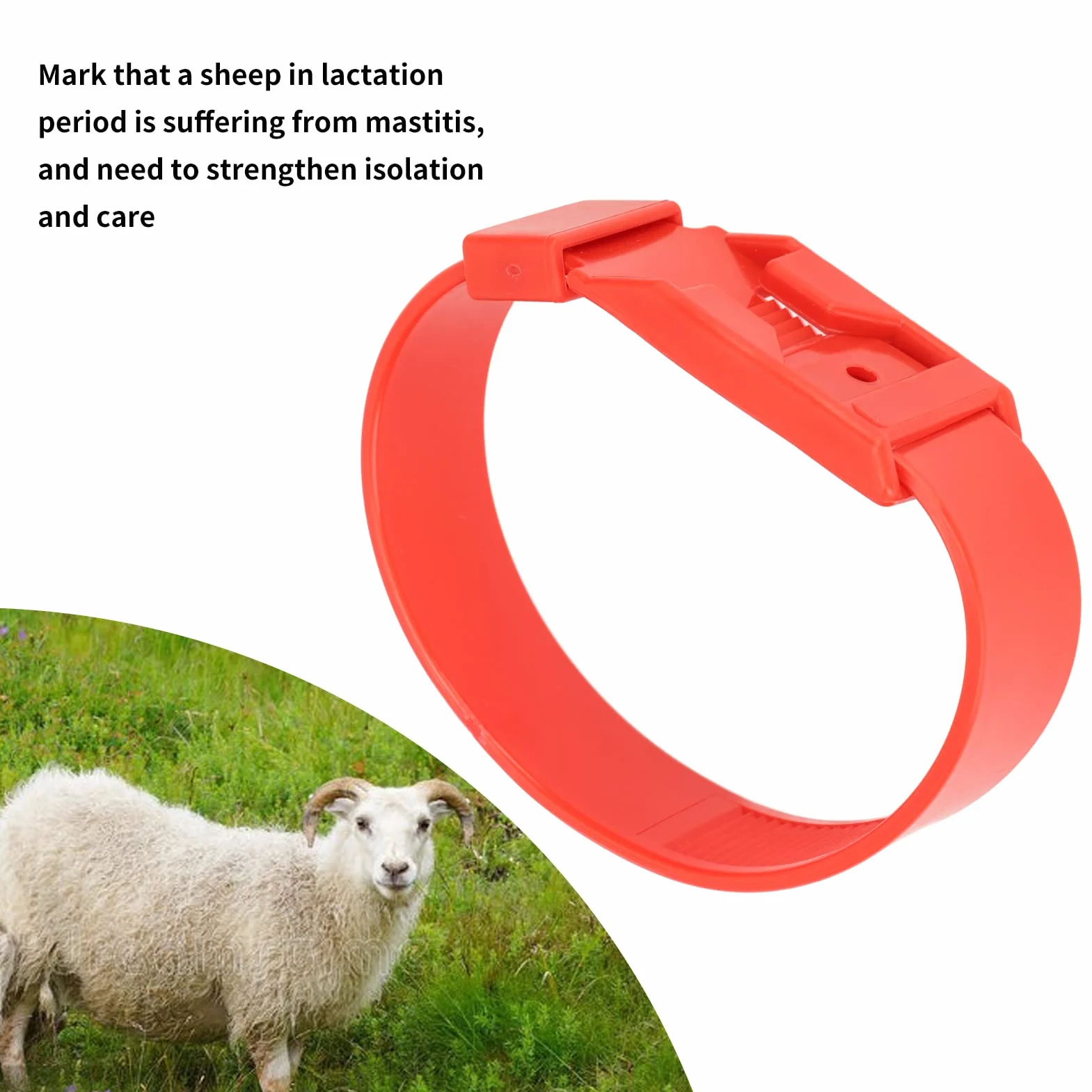 Colliers d'Identification pour Chèvres et Moutons, Bandes de Marquage de Bétail, Rouge, 36 cm, 10 Pièces, pour Petits Animaux de Ferme
