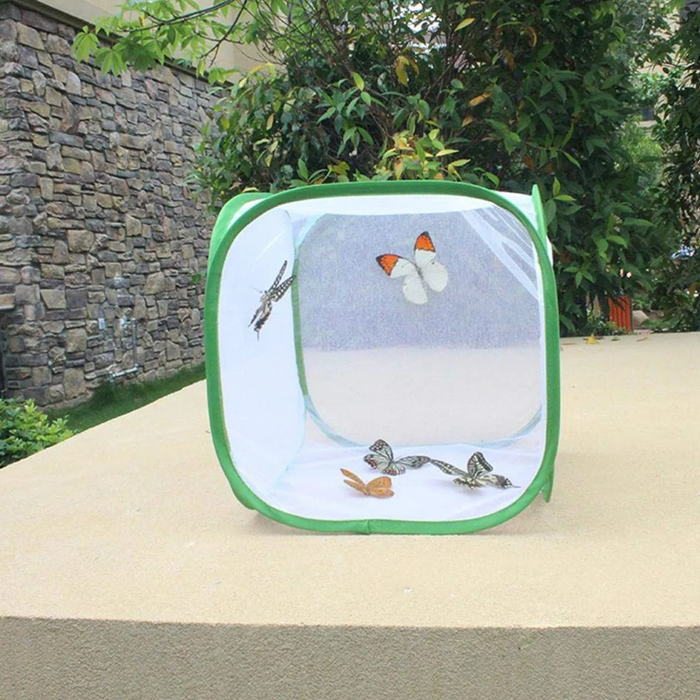 Grande Cage d'élevage pour Insectes et Papillons - Habitat Portable en Fil de Polyester 30x30x30 cm