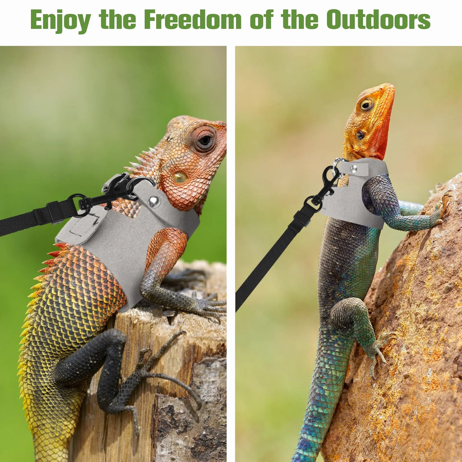Ensemble harnais et laisse pour dragon barbu - 3 tailles ajustables - Gilet en cuir d'entraînement et de promenade pour lézards - Corde de traction anti-évasion pour petits reptiles