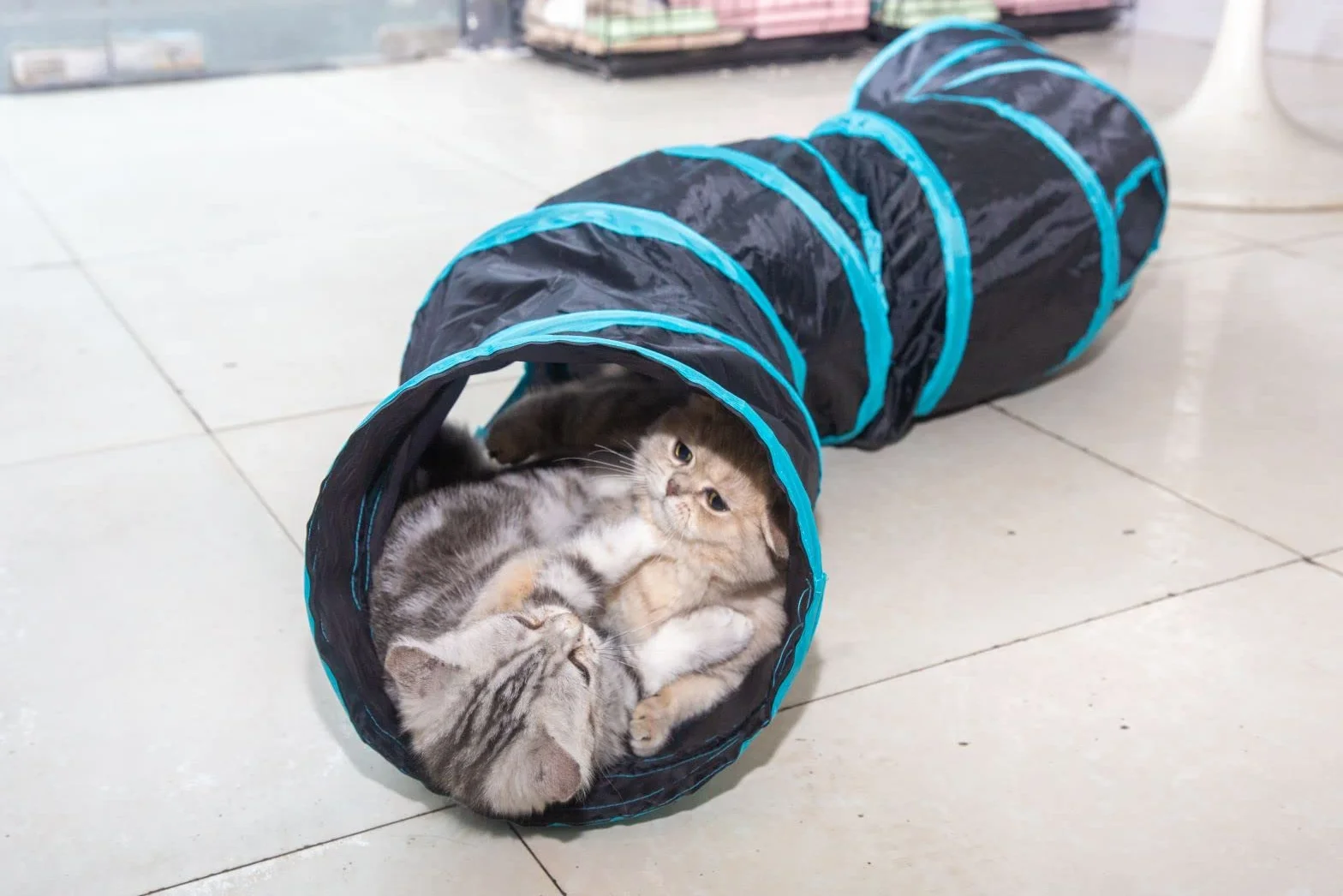 Tunnel pour Chat 2 Voies Tube de Tunnels Lapin Pliable Jouet Labyrinthe Interactif