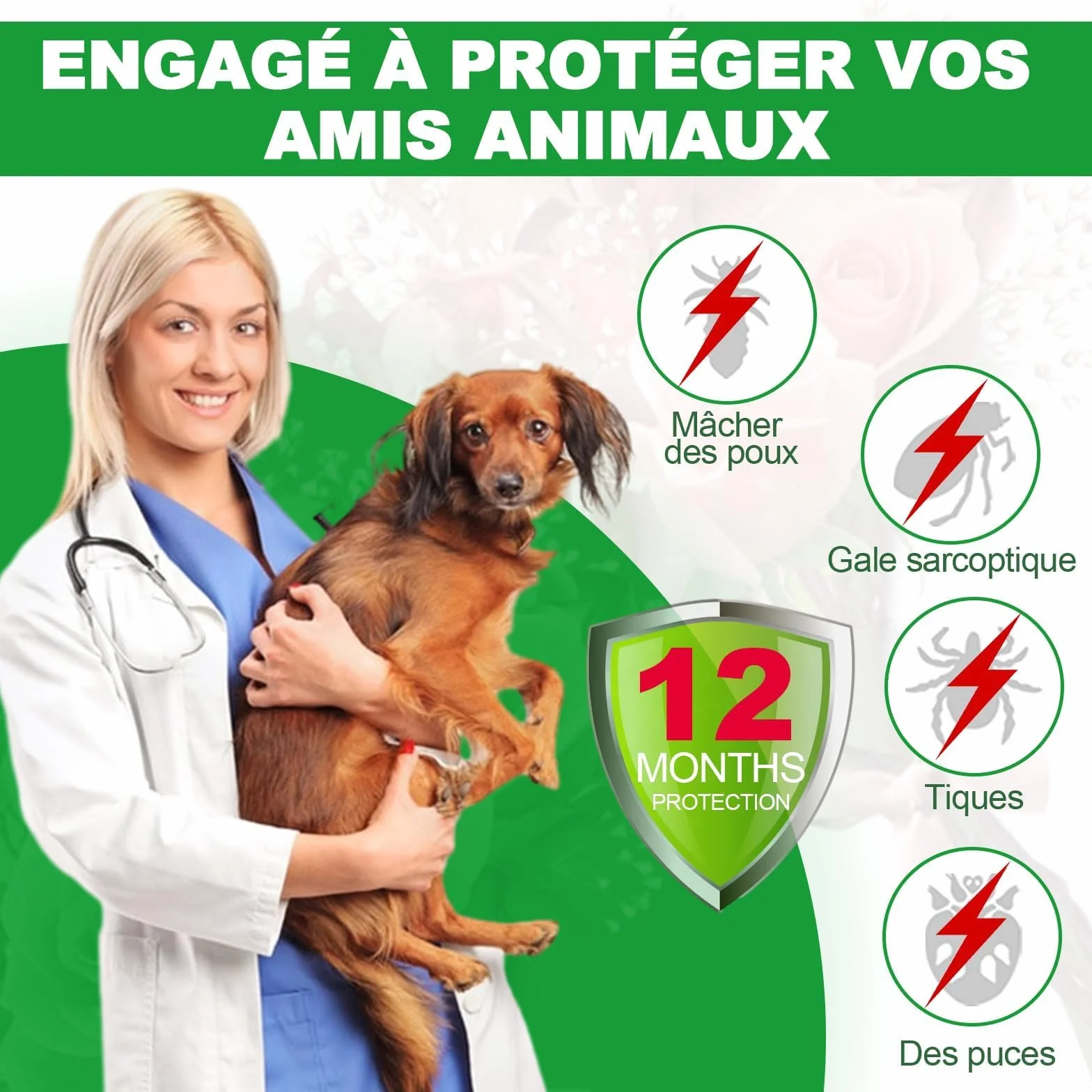 Collier Anti Puces pour Chien 65cm Réglable Étanche 12 Mois Protection