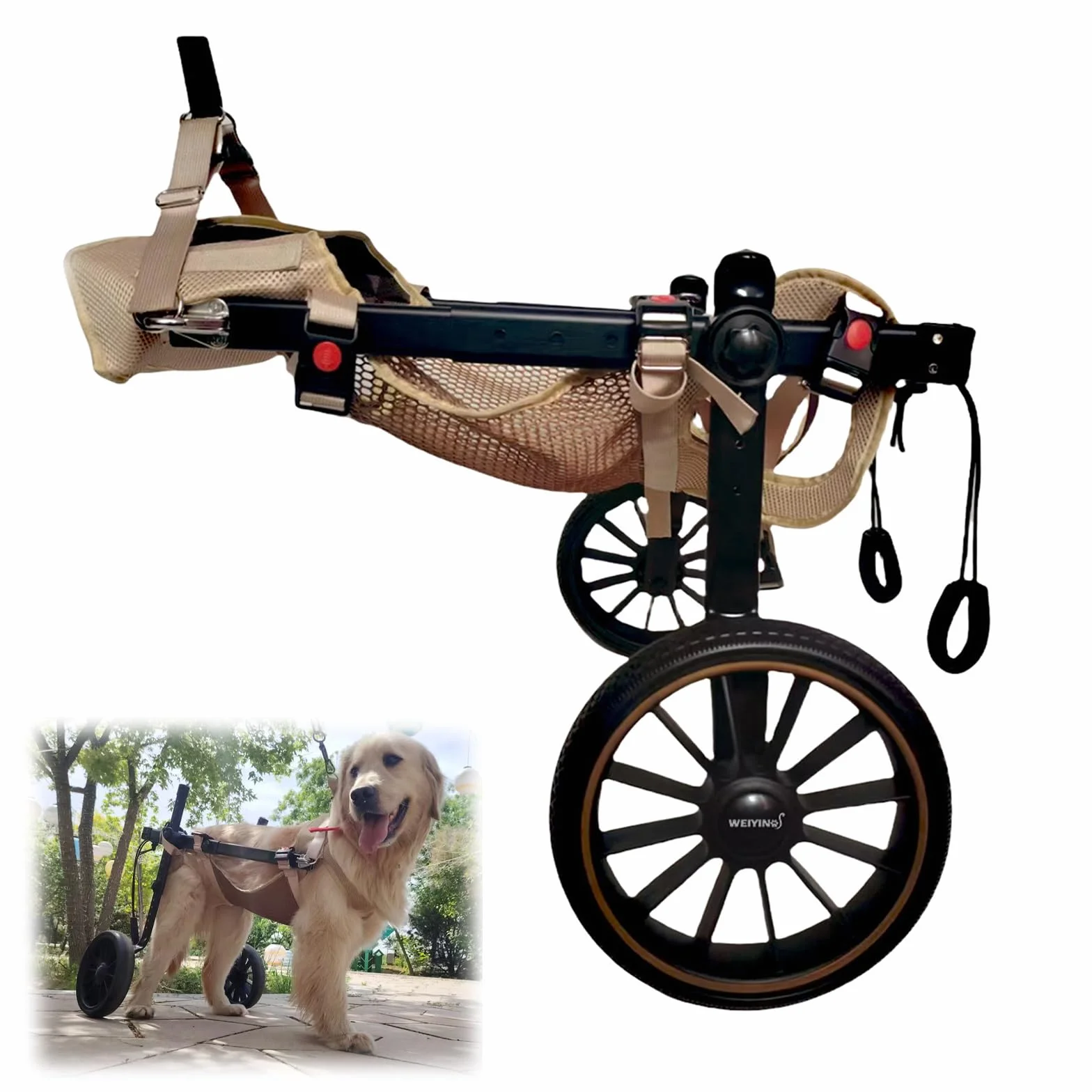 Fauteuil Roulant Pour Chien Pattes Arrière 2 Roues Attelle Exercice Marcheur Handicapé Aide Marche Blessés Paralysés Chariot Animaux Petite Moyenne Grande Taille XL Bleu