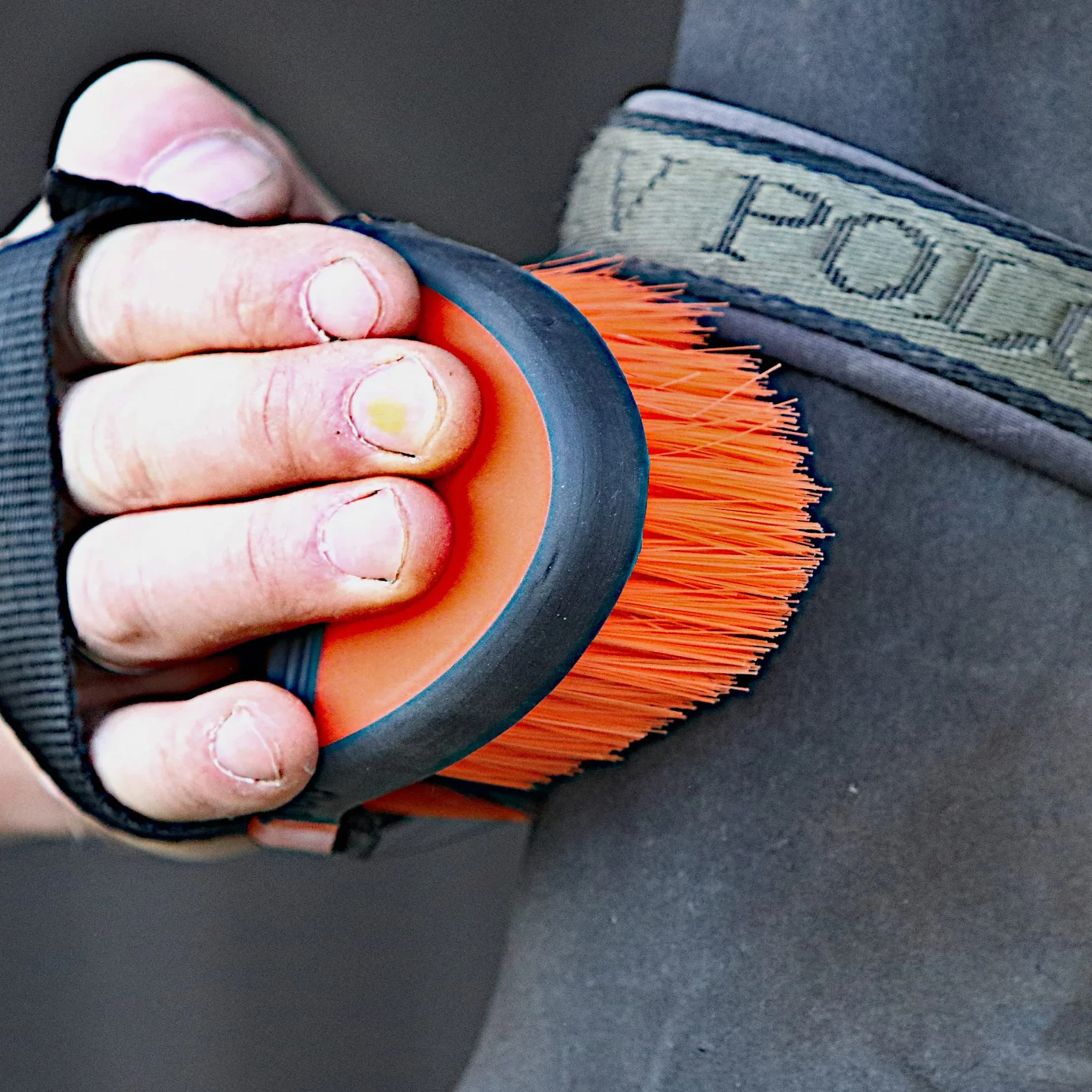 Brosse pour chevaux soin du pelage