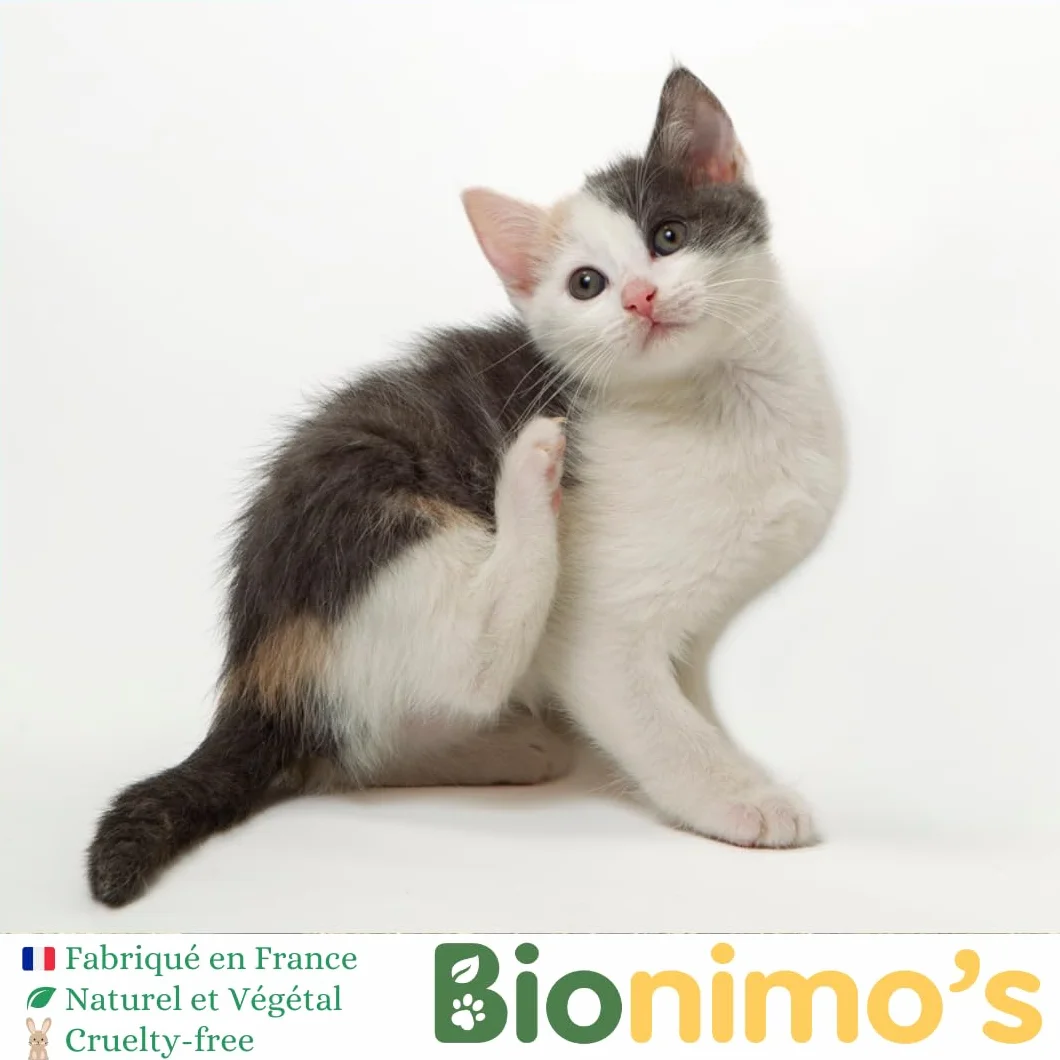 Spray Répulsif anti-Puces & Tiques Chiens & Chats Huiles Essentielles Bio 100% Français