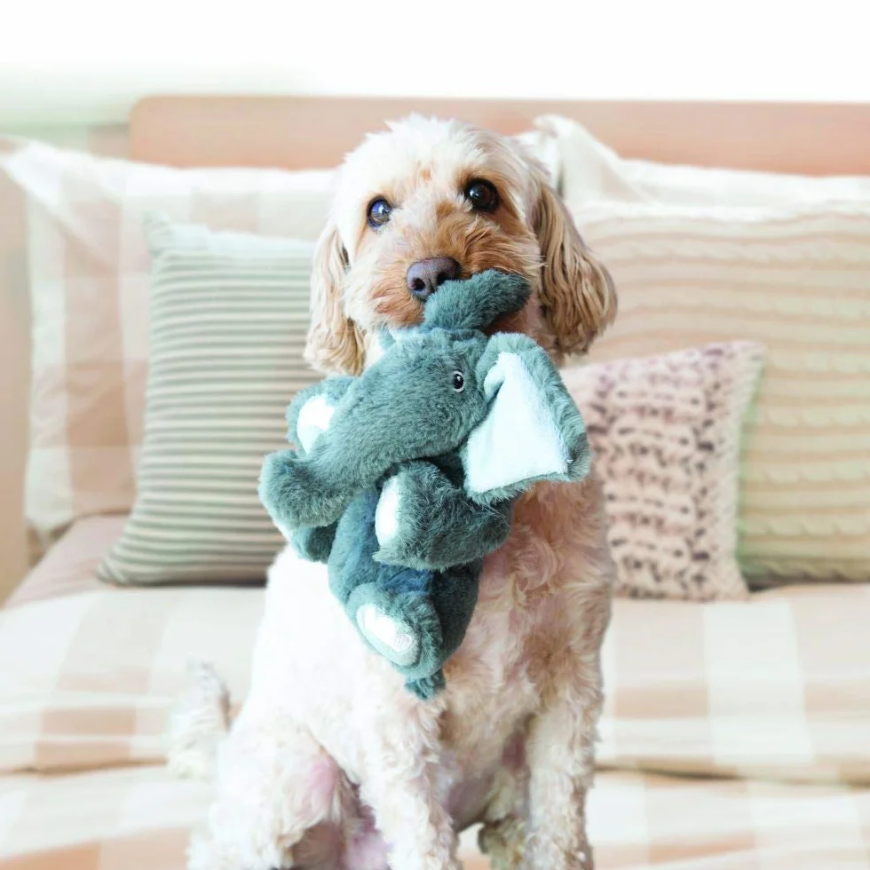 Kong Comfort Kiddos Elephant Jouet en Peluche avec couineur Amovible pour Chiens