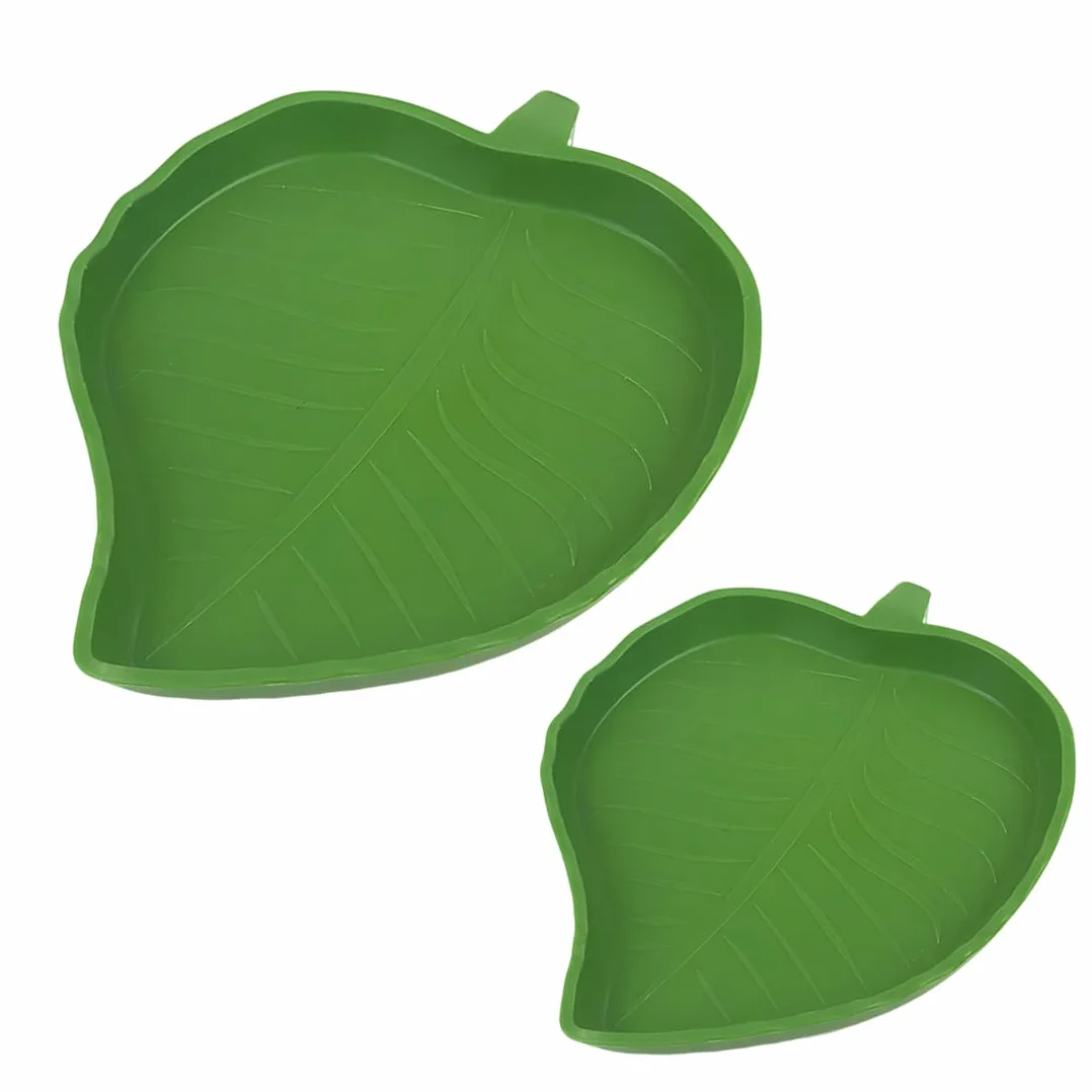 Terrarium Tortue Terrestre 2 Pièces Bols Eau Nourriture Reptiles Vert Forme Mangue