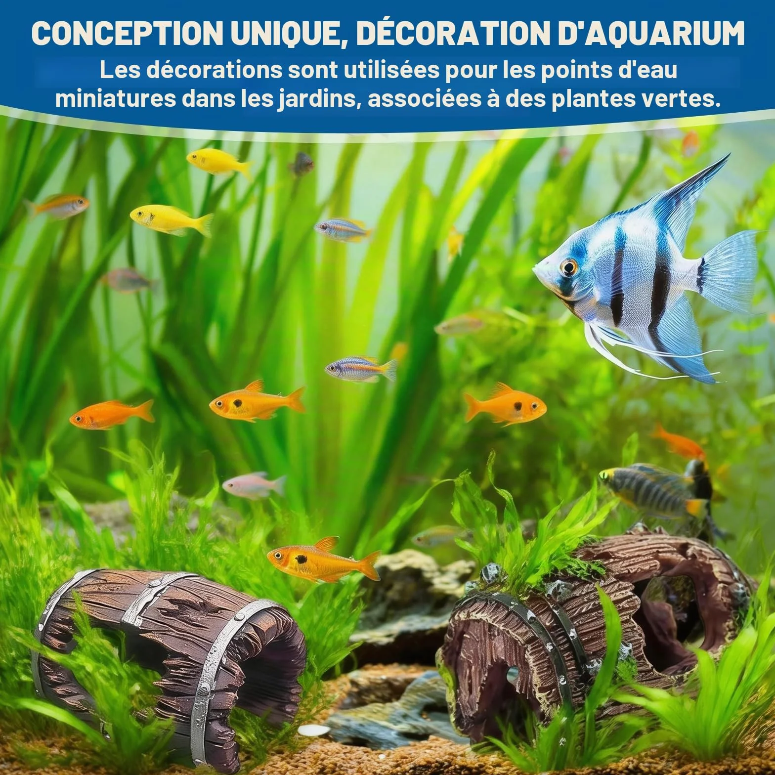 Décoration Aquarium Grain de Bois 3 Pièces, Cachette Sûre Non Toxique pour Crevettes Poissons Petite Moyenne Taille