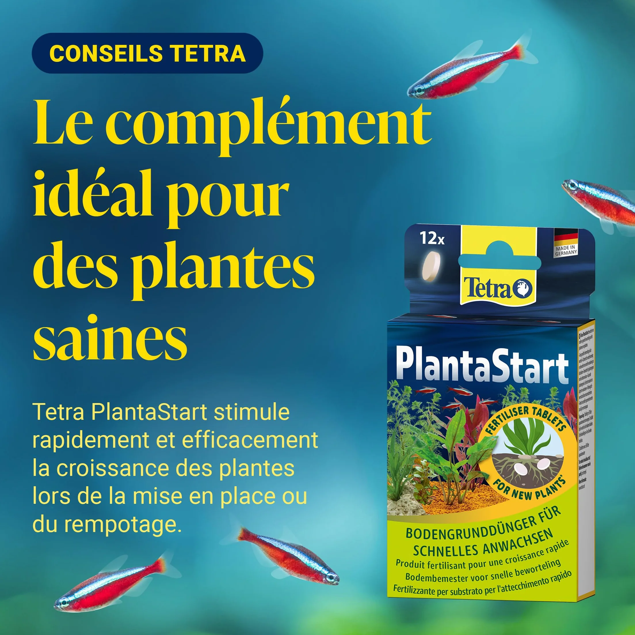 Tetra Activesubstrate 3 L