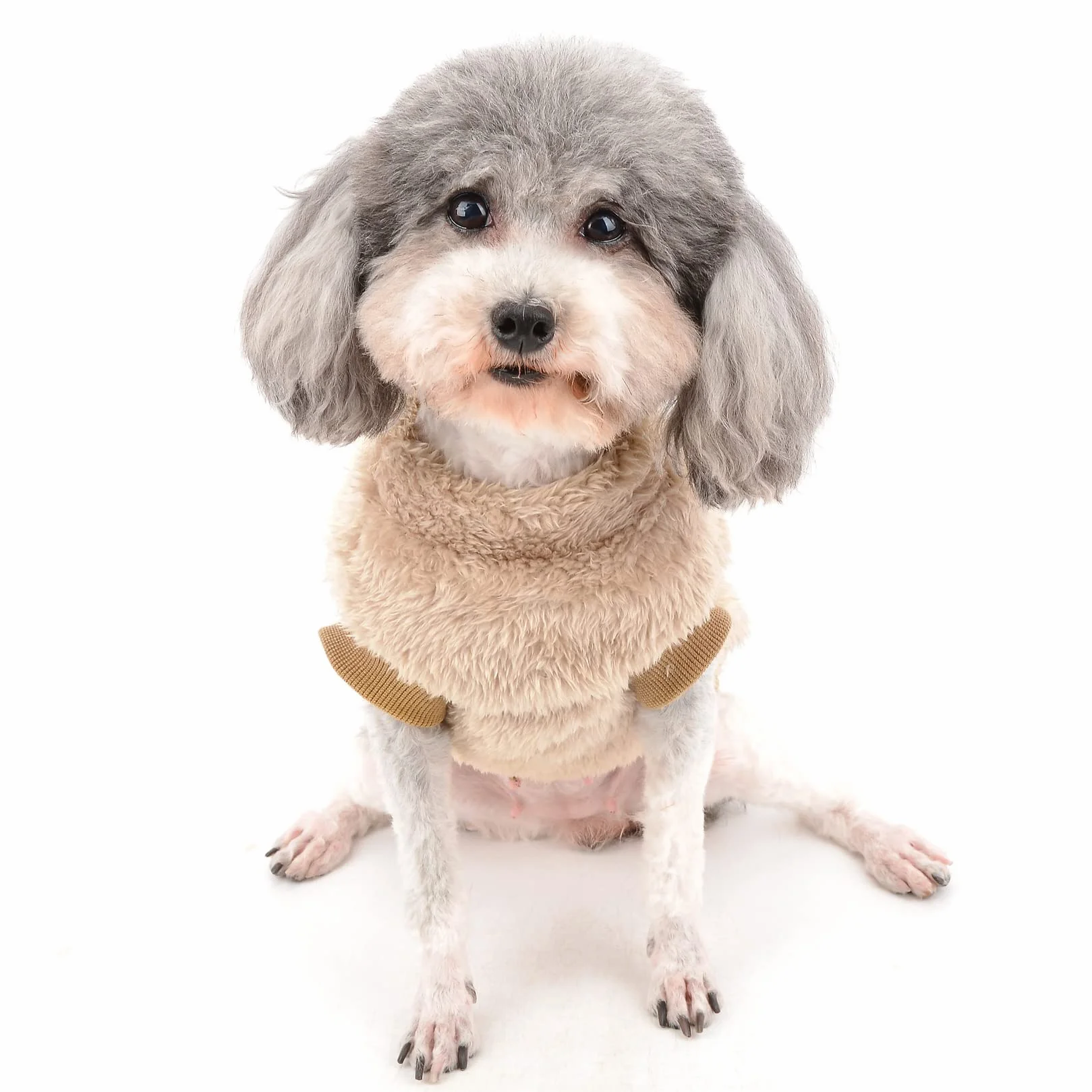 Manteau d'hiver chaud en polaire pour petit chien avec anneau en D pour harnais et laisse Chihuahua Yorkshire Marron S
