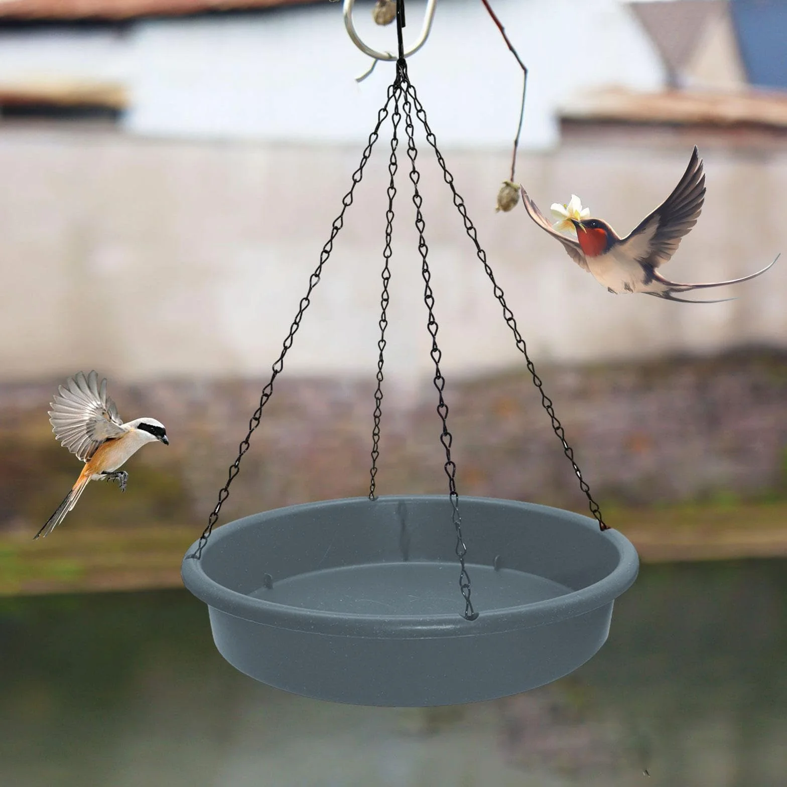 Mangeoire Bain d'oiseaux Suspendu Stable