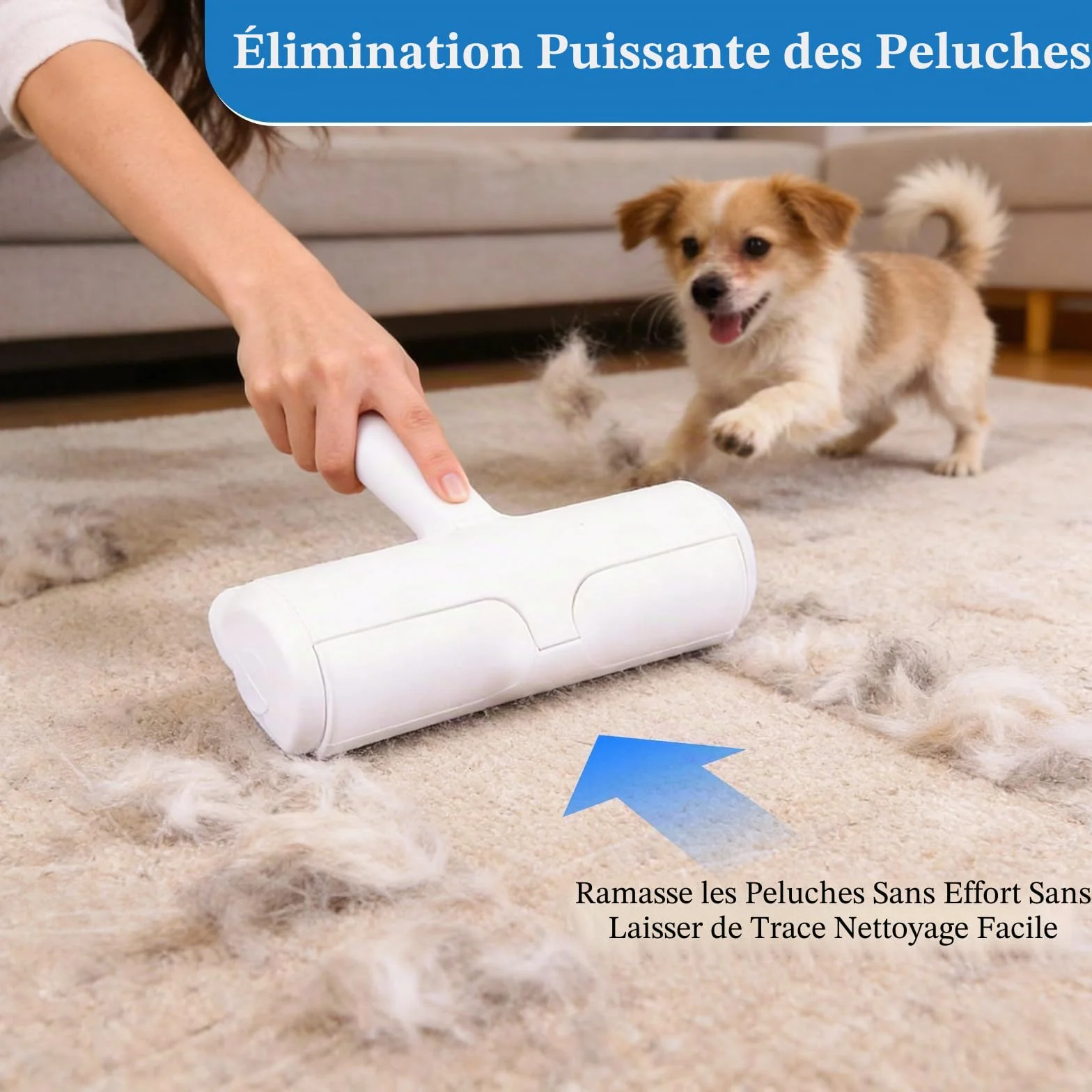 Brosse Anti Poils Animaux Chat Chien Ramasse Poils Réutilisable Canapé Tapis