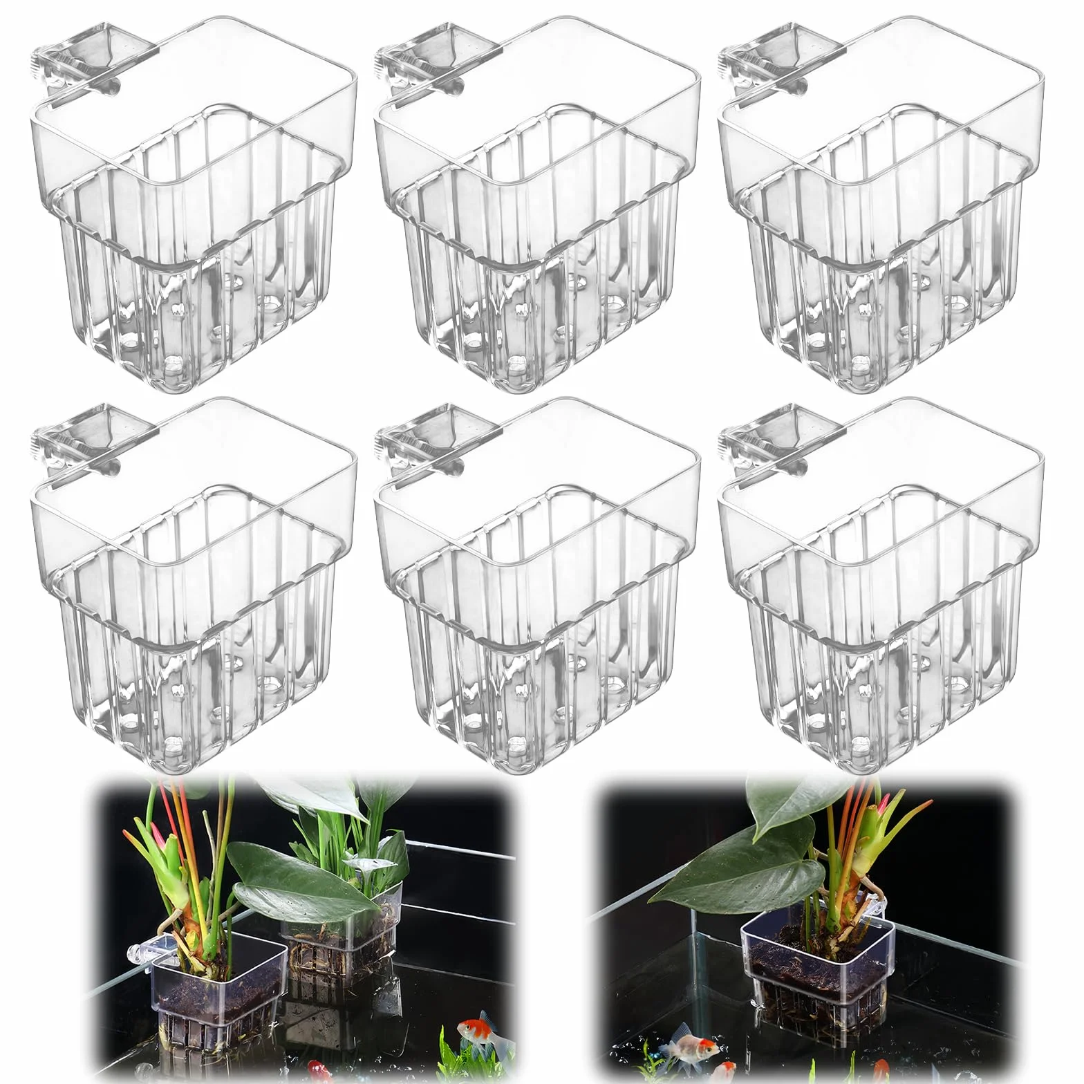 Lot de 6 supports de plantes d'aquarium transparents avec trous, paniers suspendus pour aquarium