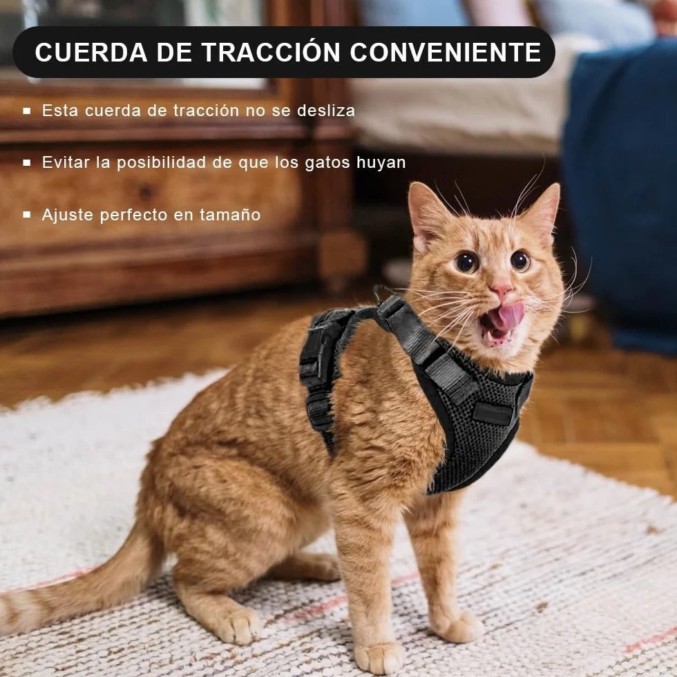 Harnais pour Chat Réglable avec Laisse 150 cm - Sécurité pour Chats Adultes et Chiots