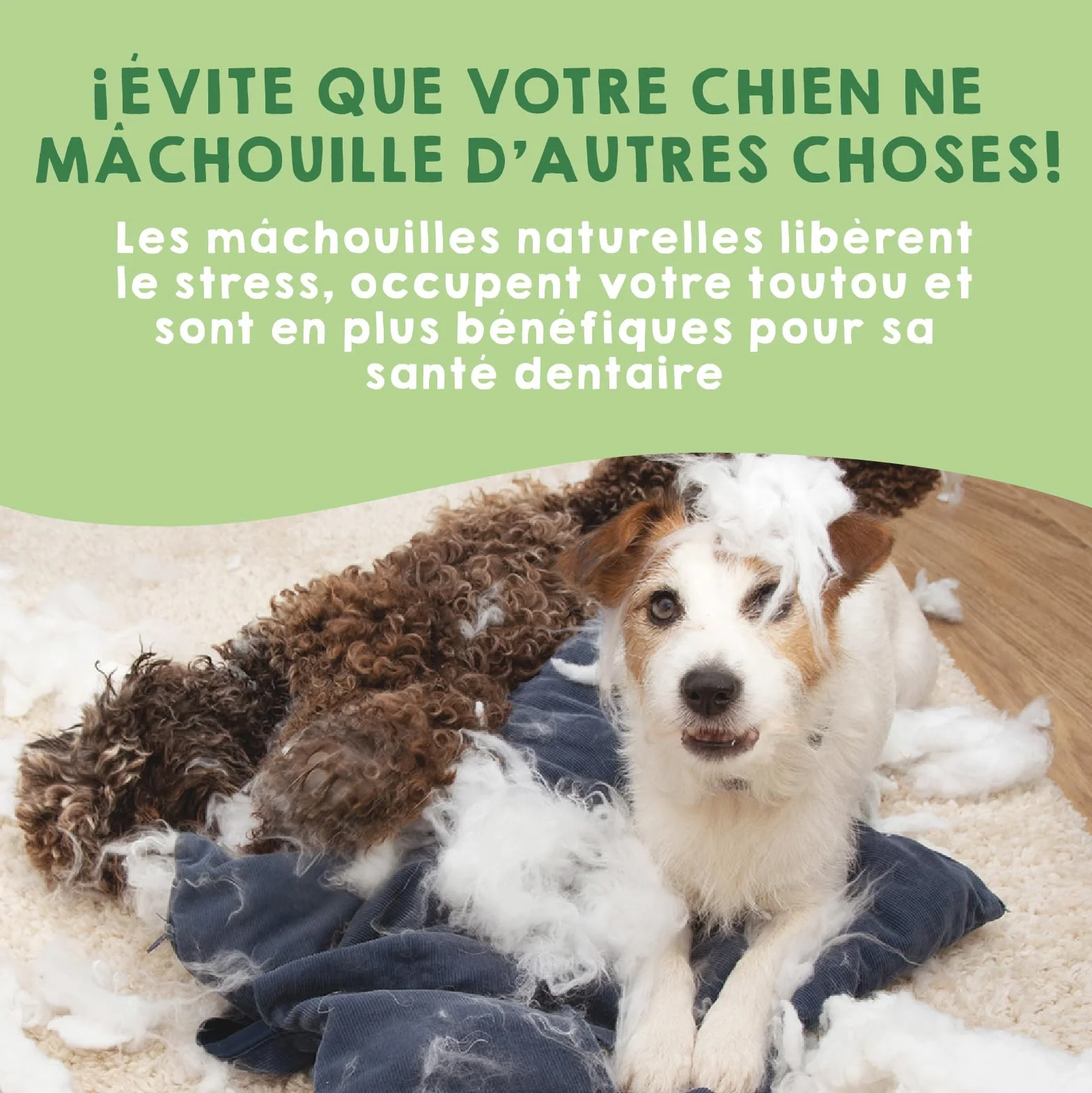 Fromage de Yak pour Chien Mastication Naturel Longue Durée Soin Dentaire Himalaya Pack 3 Taille M 10-15 kg