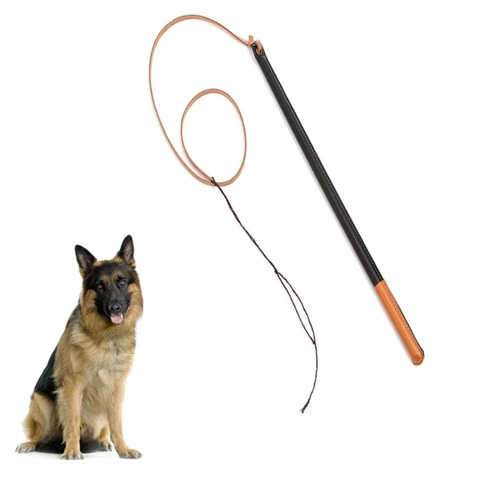 Professionnel Fouet de Dressage pour Chiens, Manche en Fibre à Haute Rebond, Caoutchouc et Cuir Synthétique
