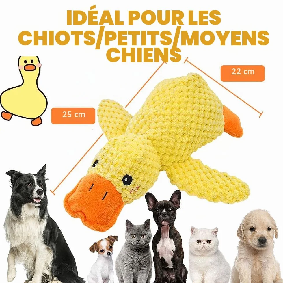 Speedy Panther Jouet en peluche canard couineur pour petits chiens 25 cm