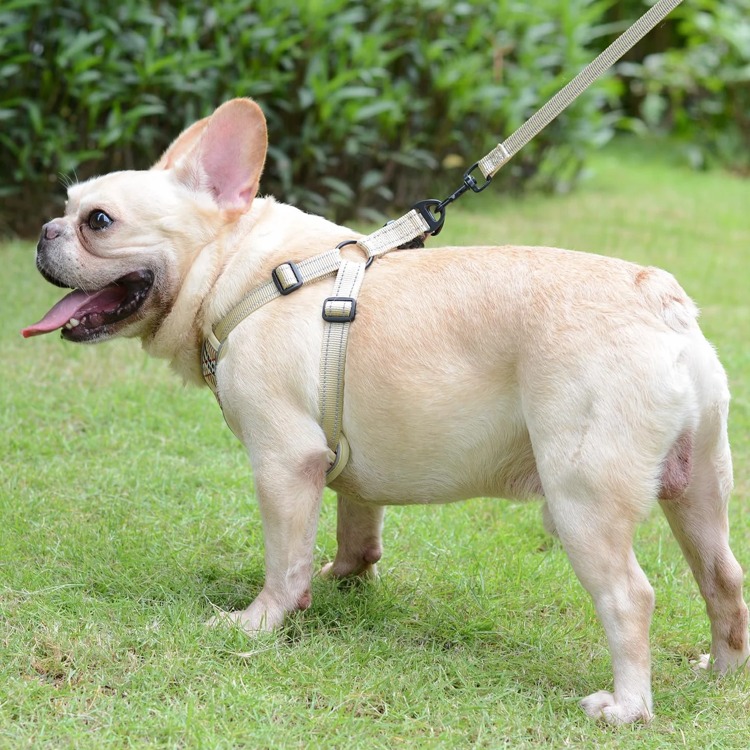 Harnais Chien Anti Traction Réglable Réfléchissant Respirant Confort Doux Gilet Rembourré Petite Moyenne Grande Chien XS Beige Marron