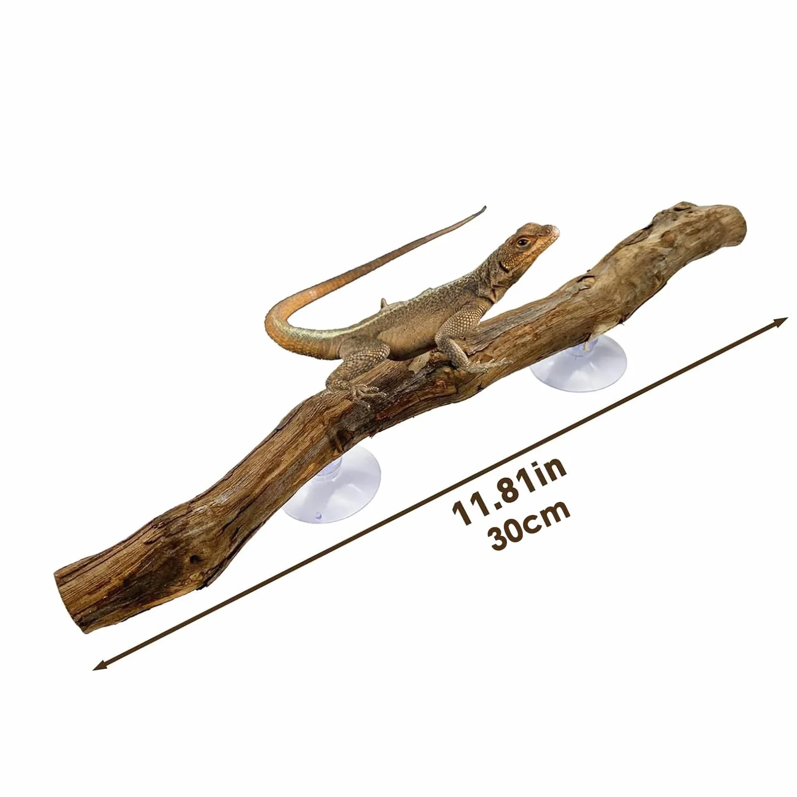 Branches Pour Reptiles Bois De Vigne 30 cm avec Ventouse Décoration Terrarium