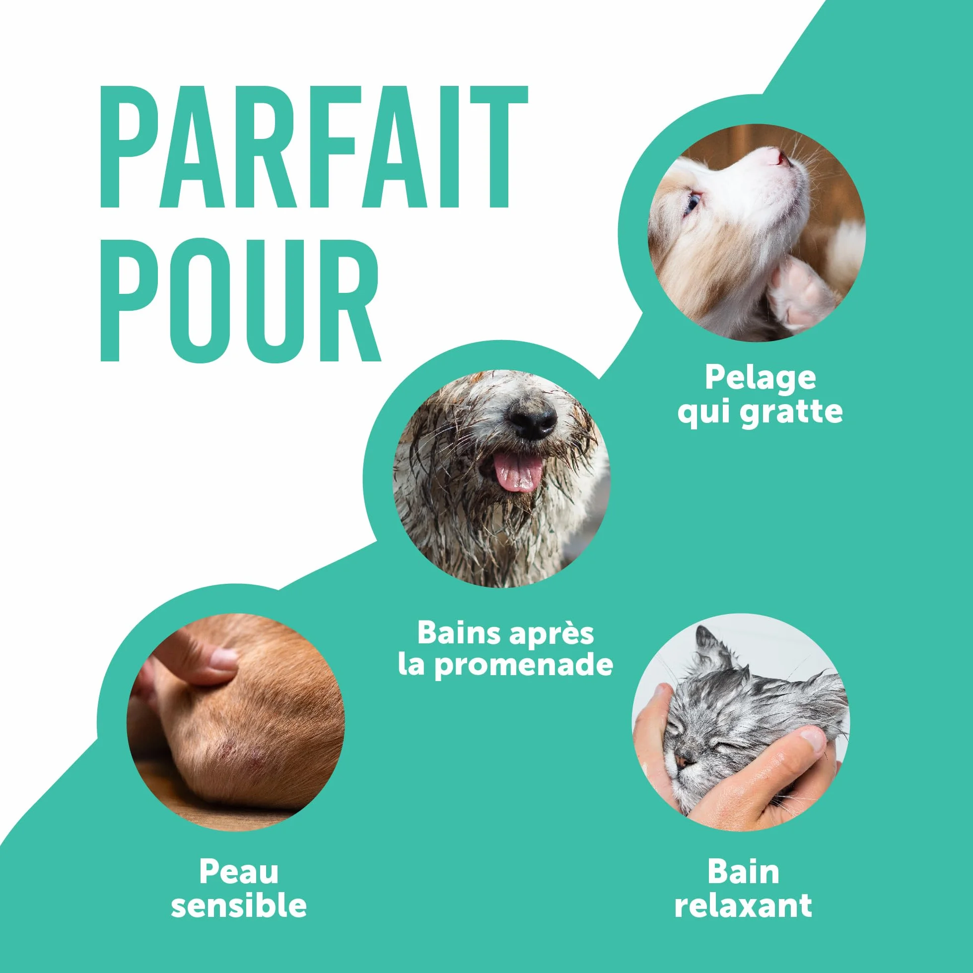 Petsly® Shampoing Anti Puces Chien Chat Chevaux -500ml- Élimine Puces & Tiques - pH Équilibré Peau Sensible, Nettoie, Apaise & Protège - Aloe Vera, Géraniol, Thé Vert, Camomile - Fabriqué en Allemagne