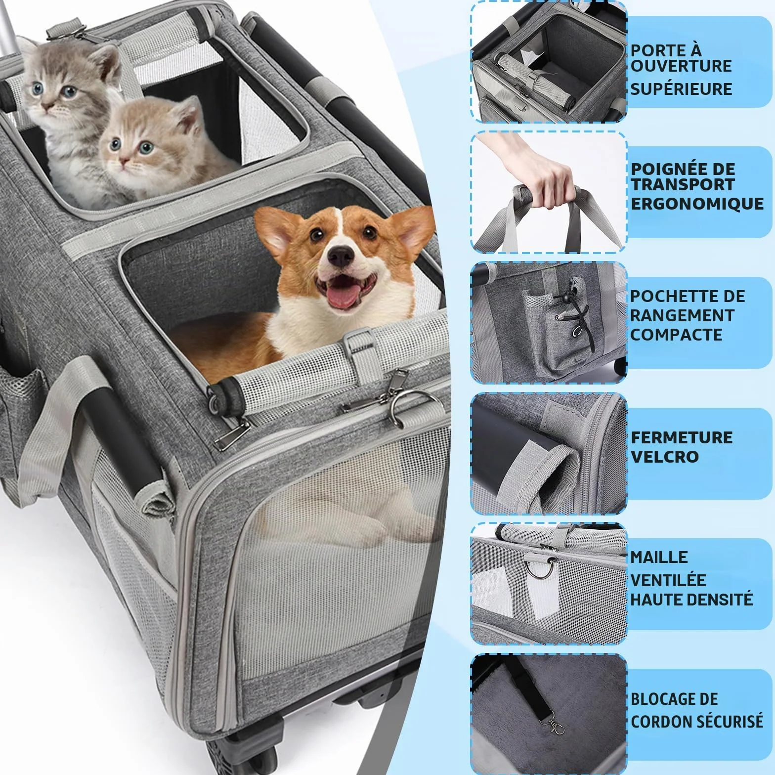 Sac à roulettes pour Chat Chien Pliable Transporteur Roulant, Sac de Transport Chats Poignée Télescopique Bandoulière pour 2 Chats et Petits Chiens jusqu'à 20 kg, Design ventilé