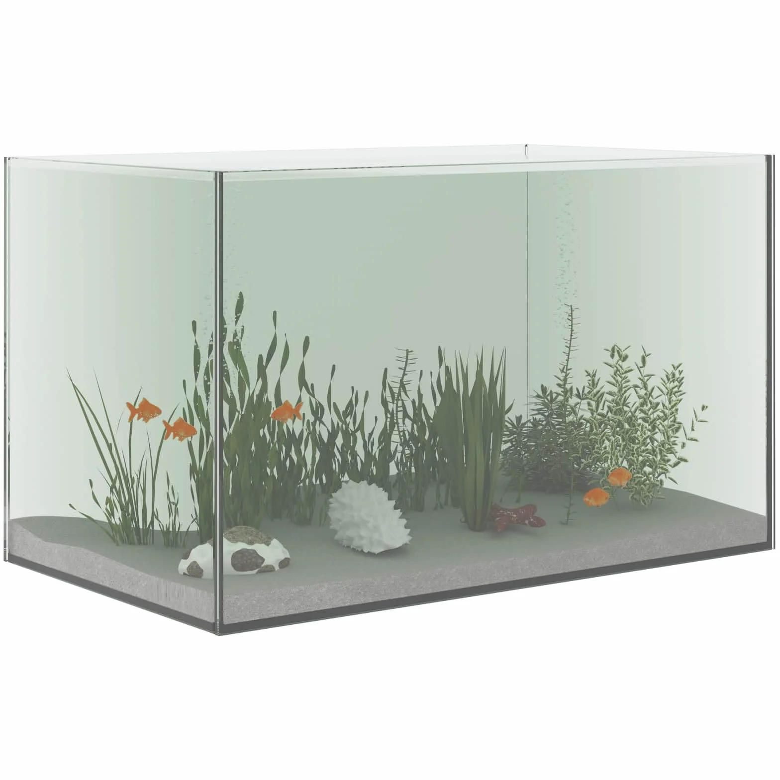 vidaXL Aquarium en Verre 50x30x30 cm Moderne Vitrine Réservoir Transparent