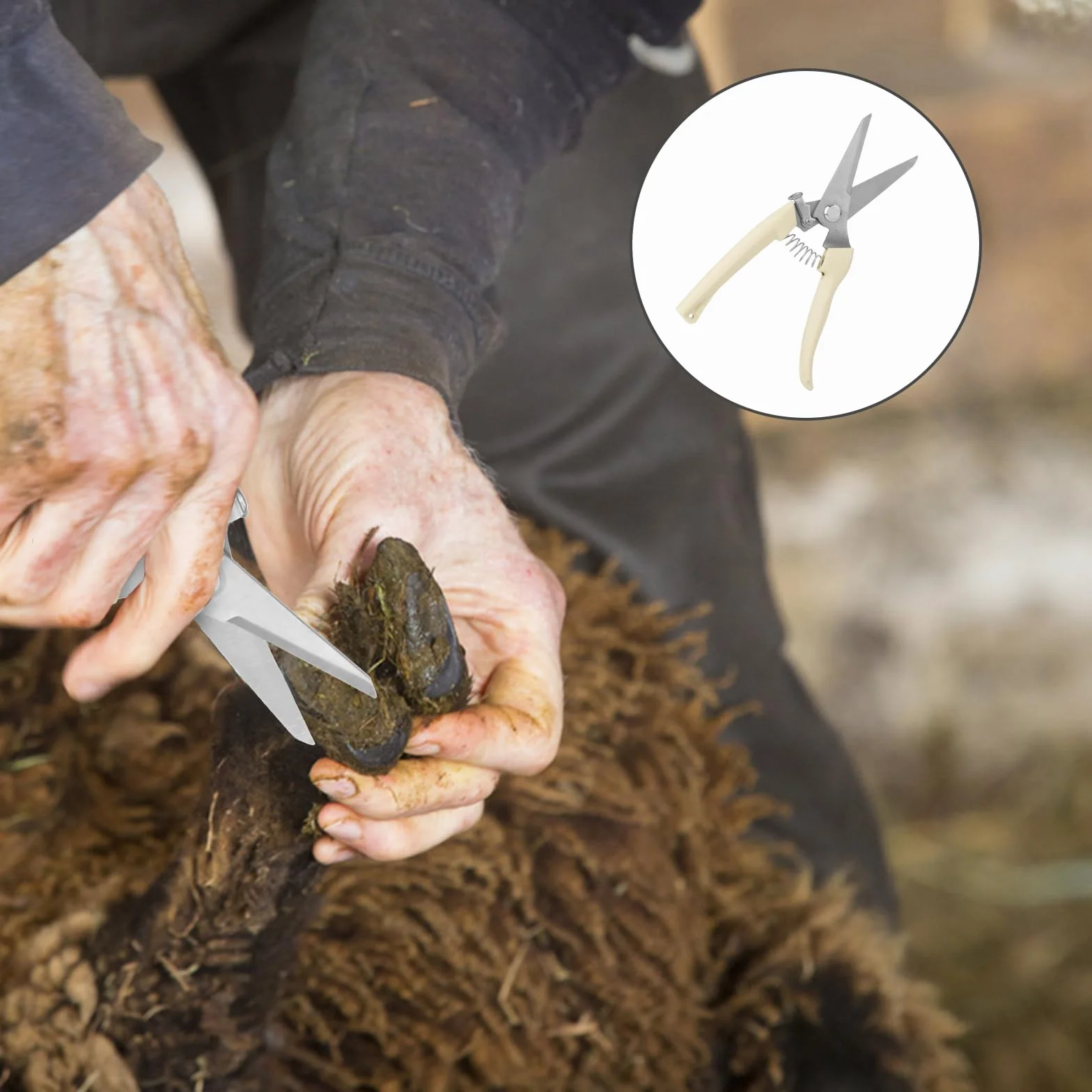 PEUTIER Coupe-Ongles de Chèvre, Outil de Coupe de Sabots en Acier Inoxydable avec Cisailles à Sabots à Ressort Coupe-Ongles de Mouton pour Cochon, Cheval, Bétail