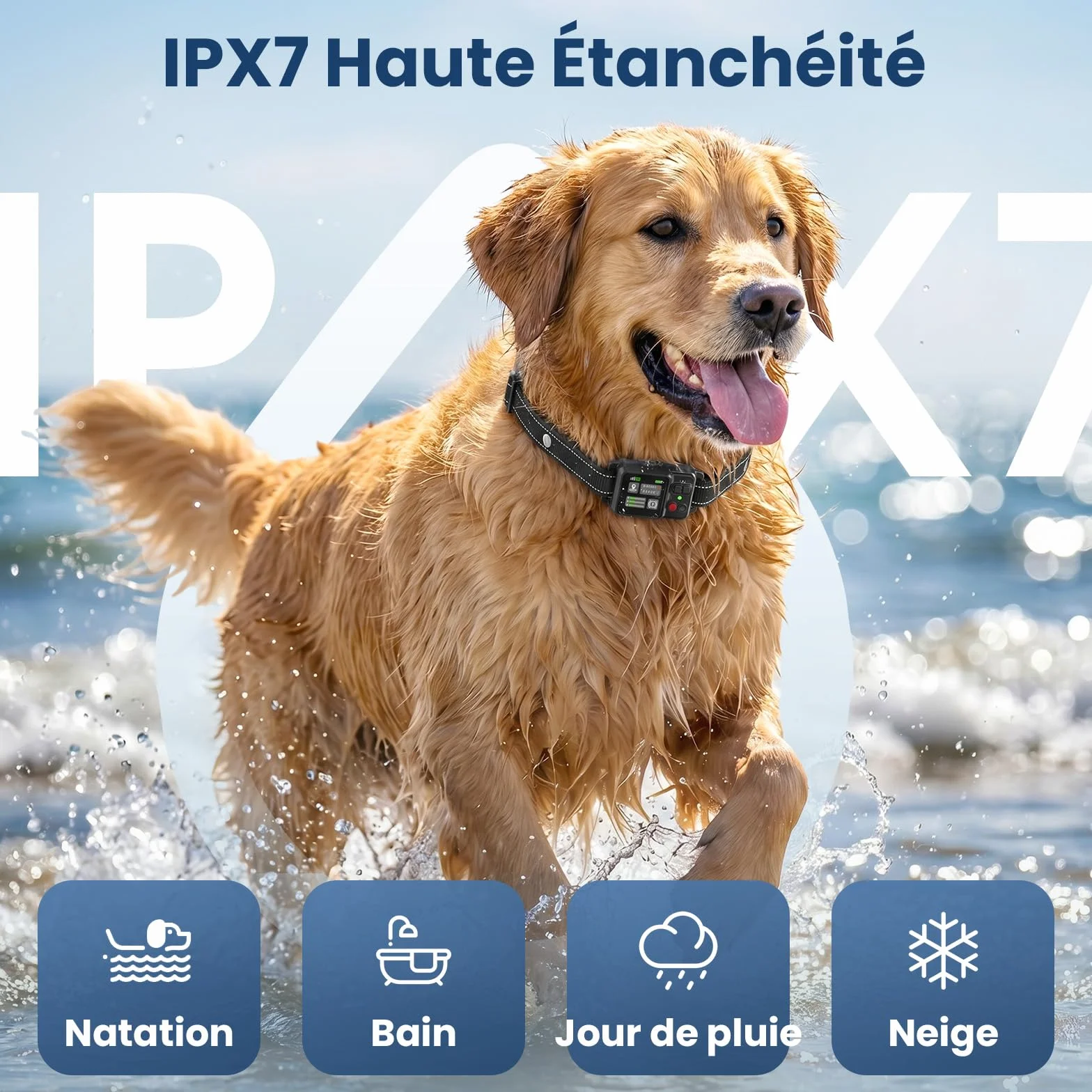 Collier Anti Fugue Chien sans Fil GPS avec Écran Couleur, Clôture GPS Intelligente Haute Précision, Réglable 30-999M, IPX7 Étanche