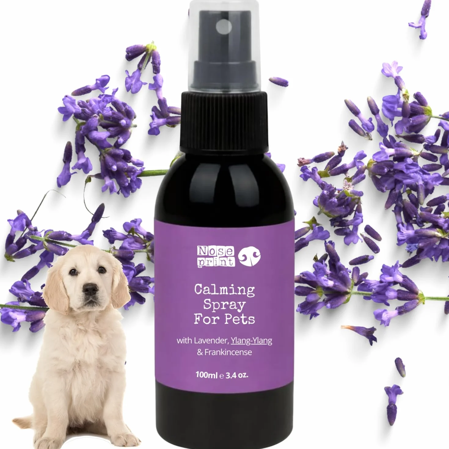Spray apaisant naturel pour chiens et chats lavande ylang-ylang encens 100 ml