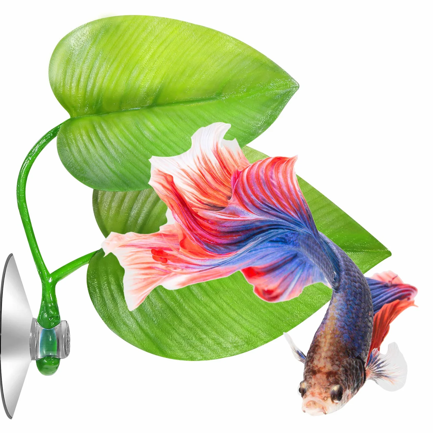 Hamac Feuille de Lit Betta pour Poisson Betta, Spot de Repos Léger et Réaliste, Sans BPA, Double Feuille
