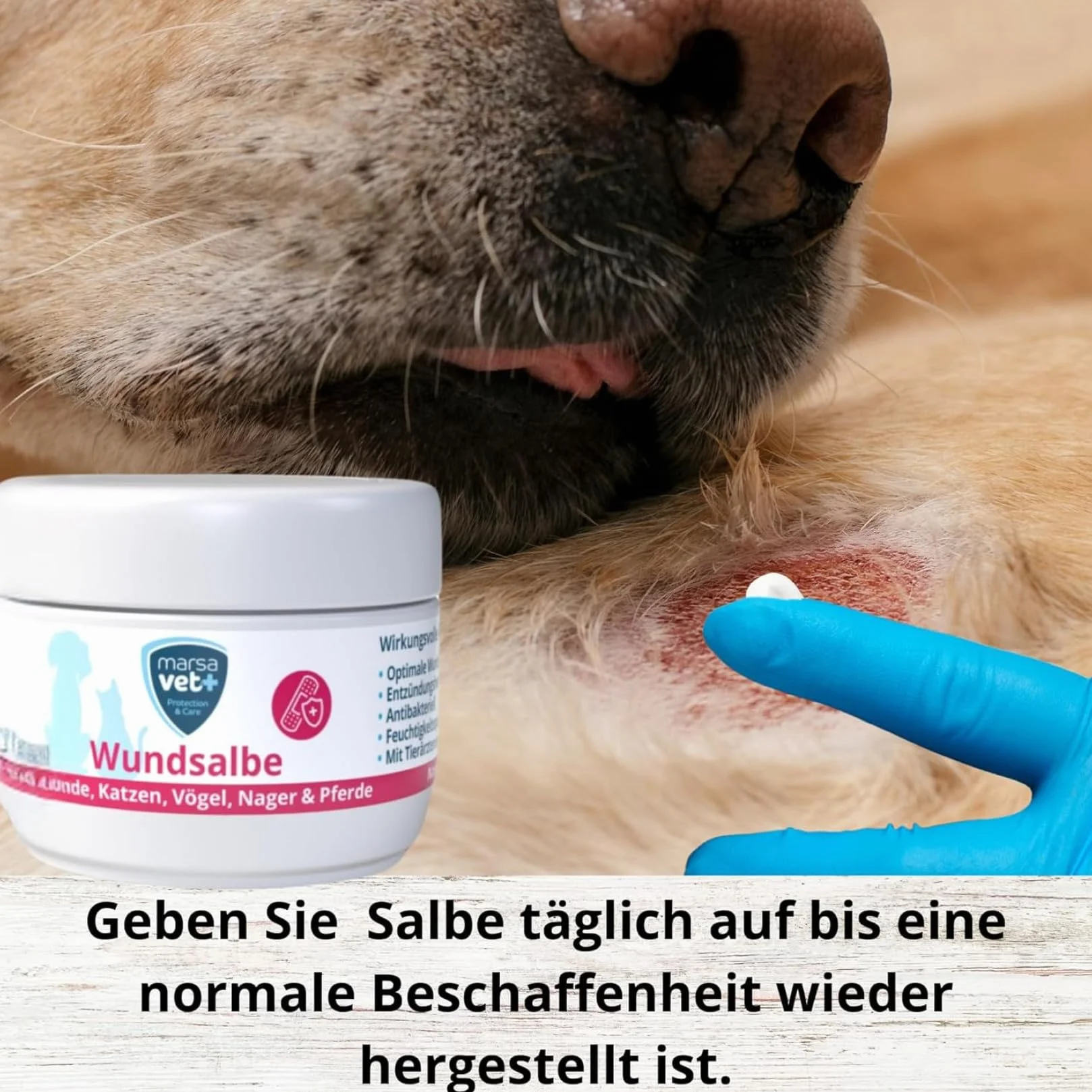 Marsavet + Pommade Cicatrisante 30 ml pour Chiens Chats Oiseaux Rongeurs Chevaux