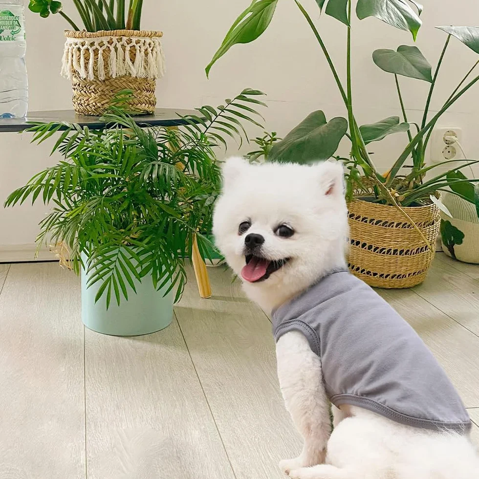 T-Shirt d'été pour Chien en Coton Doux et Respirant sans Manches, 3 Pièces, pour Petits Chiens et Chats (Noir, Blanc, Gris, Taille M)