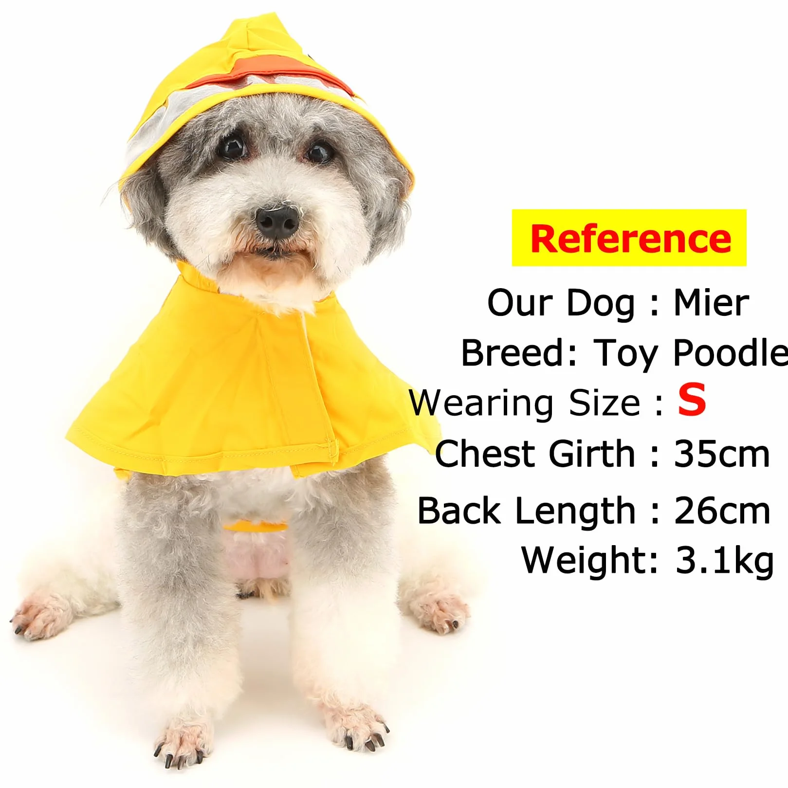 Manteau de pluie imperméable pour chien avec capuche, léger réfléchissant, motif canard, jaune M