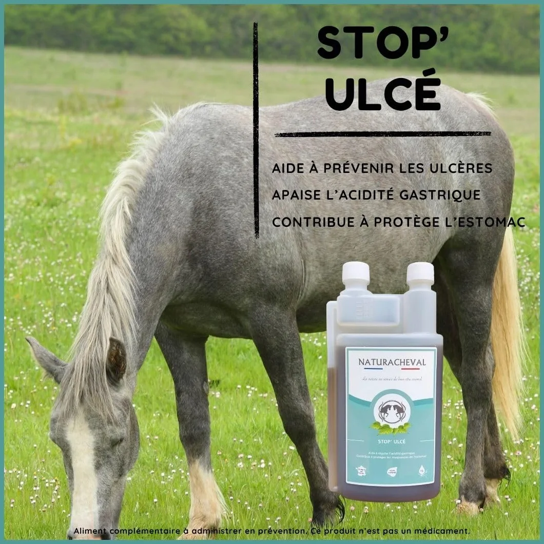 Ulcère Cheval & estomac – Complément Naturel Anti acidité gastrique – Protège muqueuses & apaise douleurs – Digestion Sensible – Formule Plantes