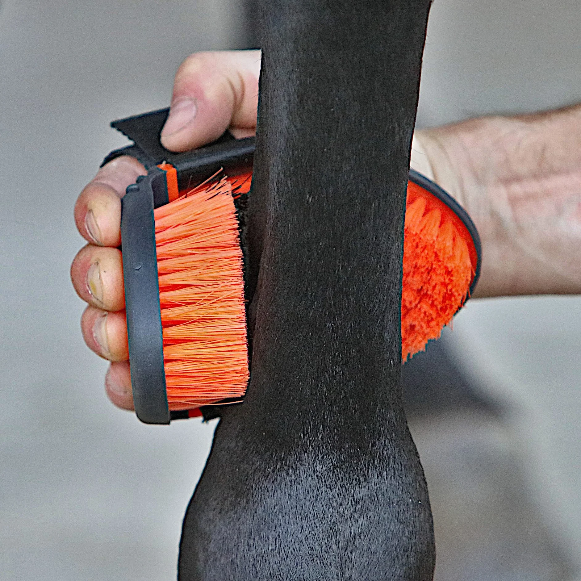 Brosse pour chevaux soin du pelage