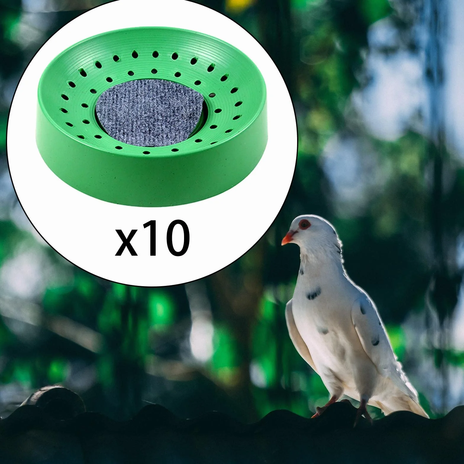 Nid Pigeon Plastique 10 Pièces Fournitures Élevage