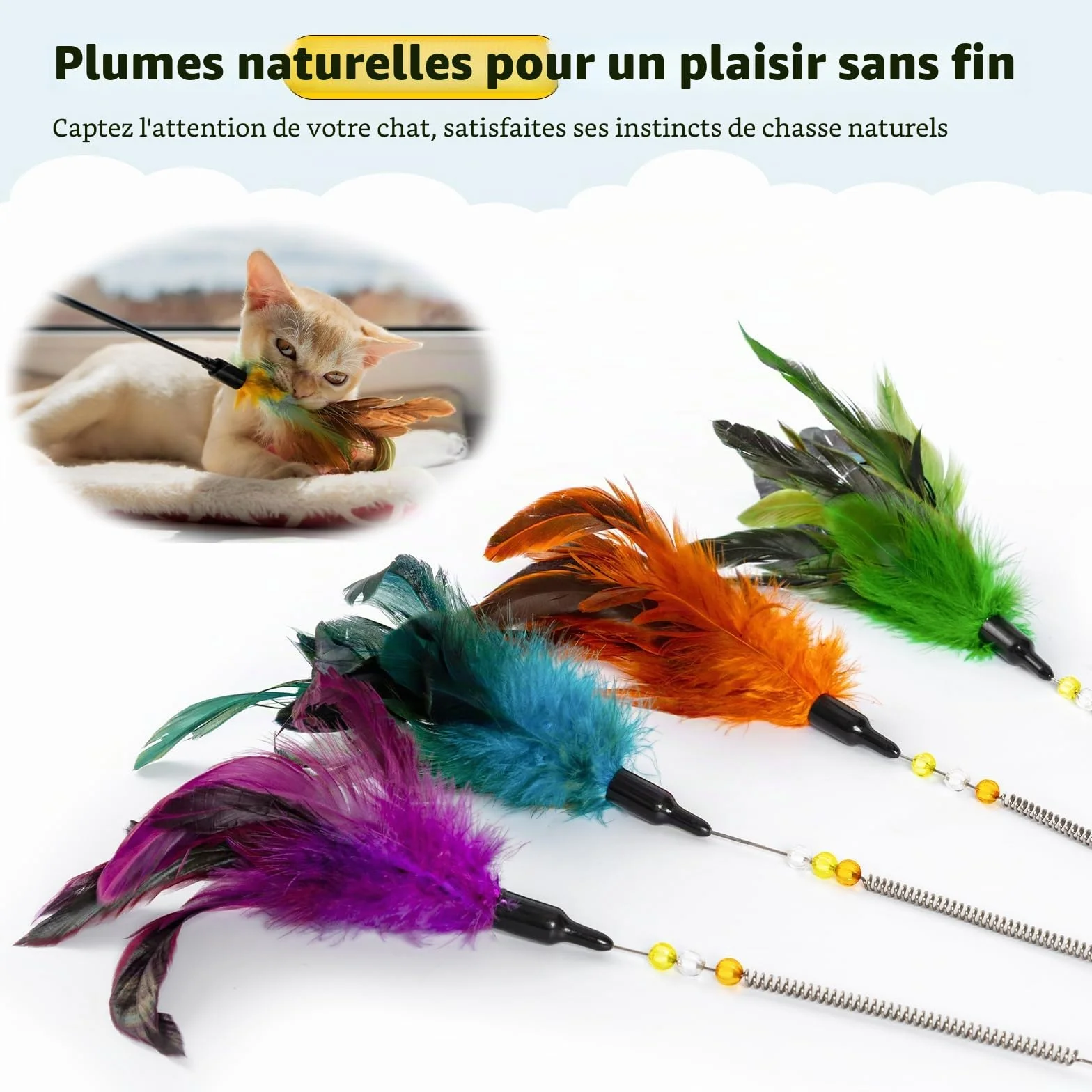 AIDIYA Jouets pour Chat avec Plumes et Baguette Lot de 6