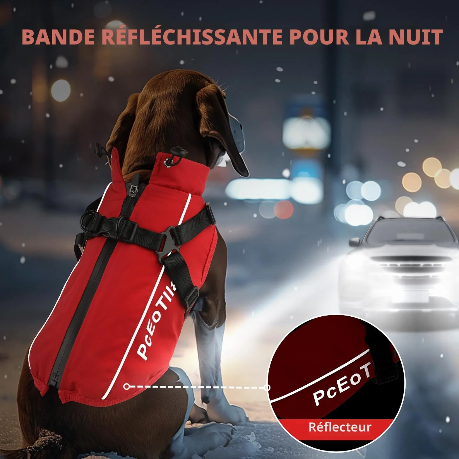 Manteau imperméable pour chien petite taille veste chaude réfléchissante harnais hiver coton rouge taille M