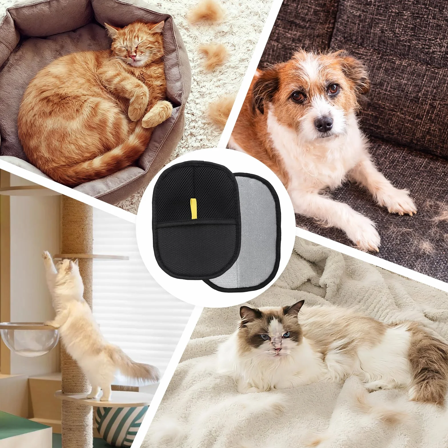 Gant Anti Poils Animaux Antistatique Lavable pour Chiens Chats Toilettage Massage - Noir