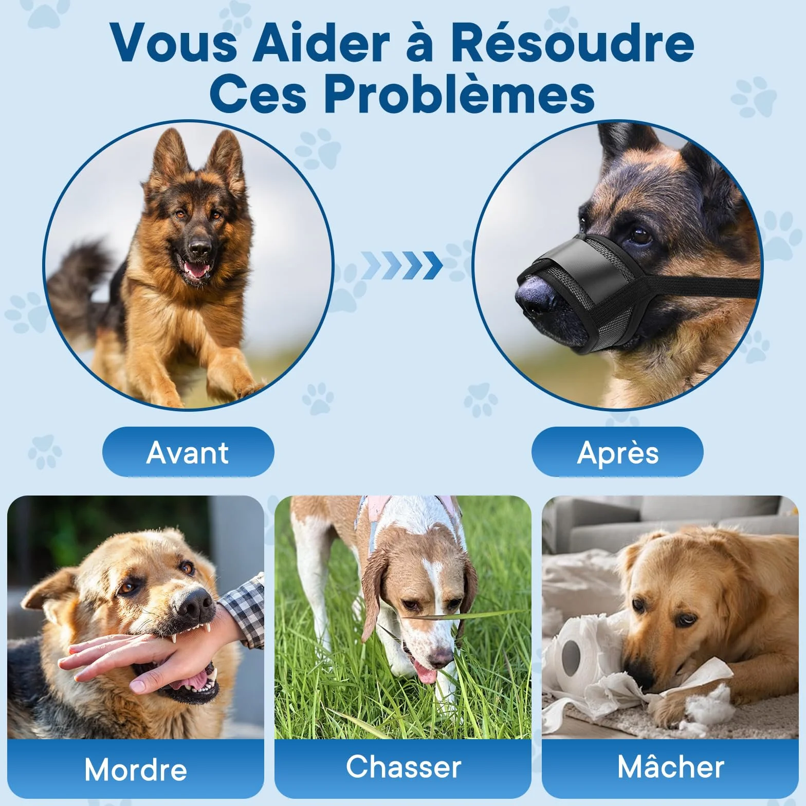 Museliere pour Chien, Ajustable pour Muselière Chien, Anti-aboiement et Mastication, Muselière en Maille à Air Doux pour l'entraînement au toilettage (M)